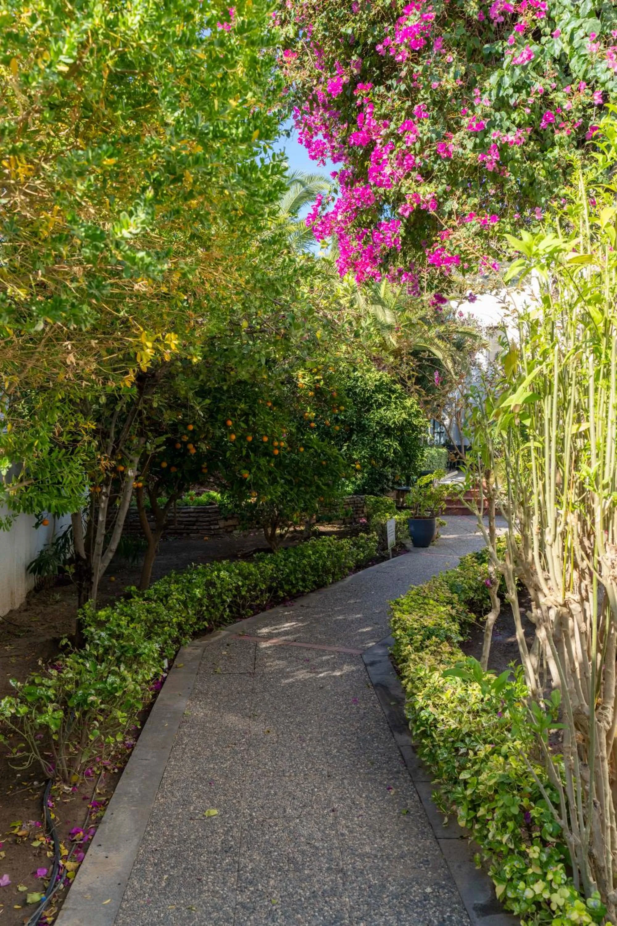 Natural landscape in Torbahan Hotel