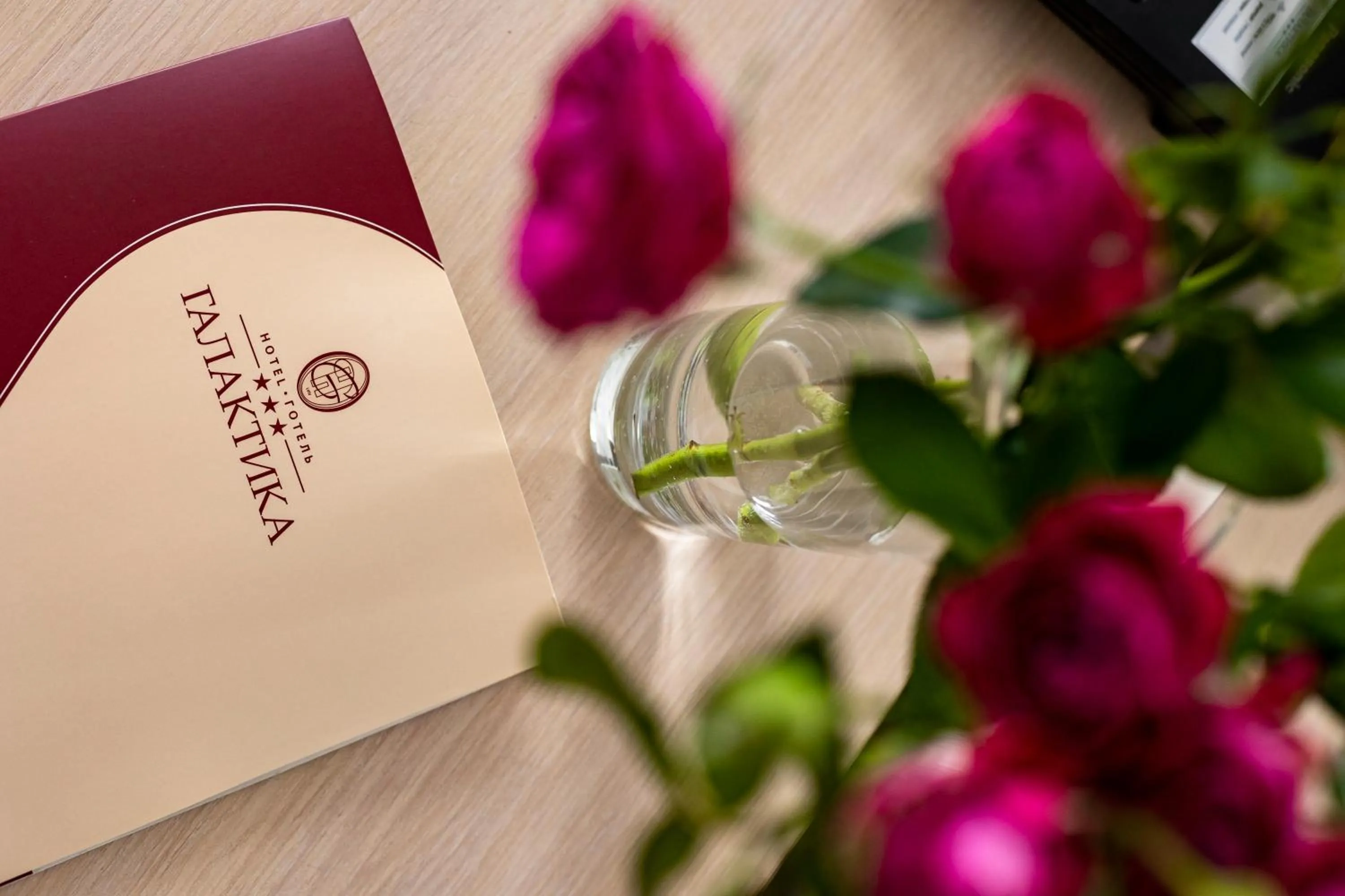 Decorative detail in Hotel Galaktika