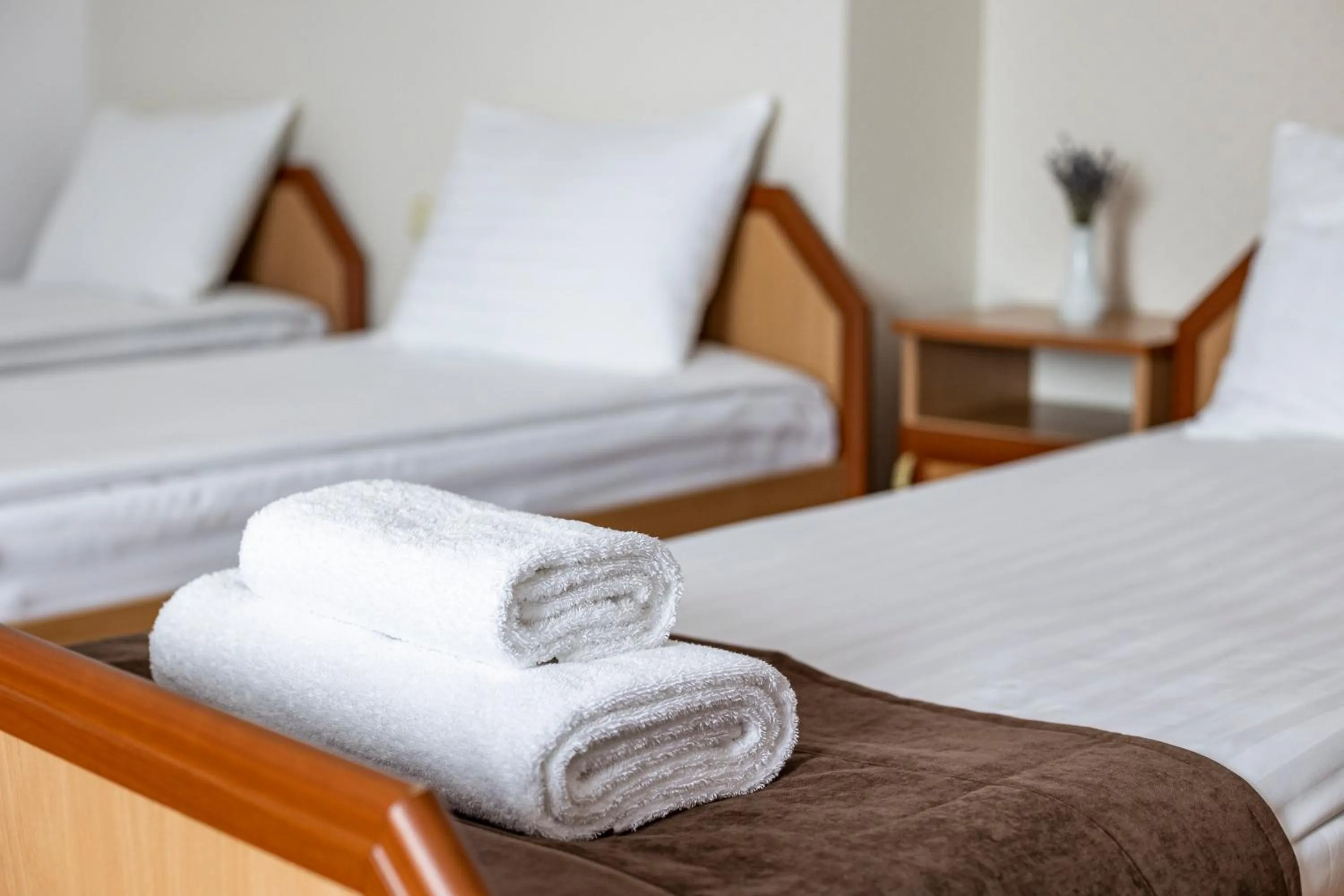 towels, Bed in Hotel Galaktika