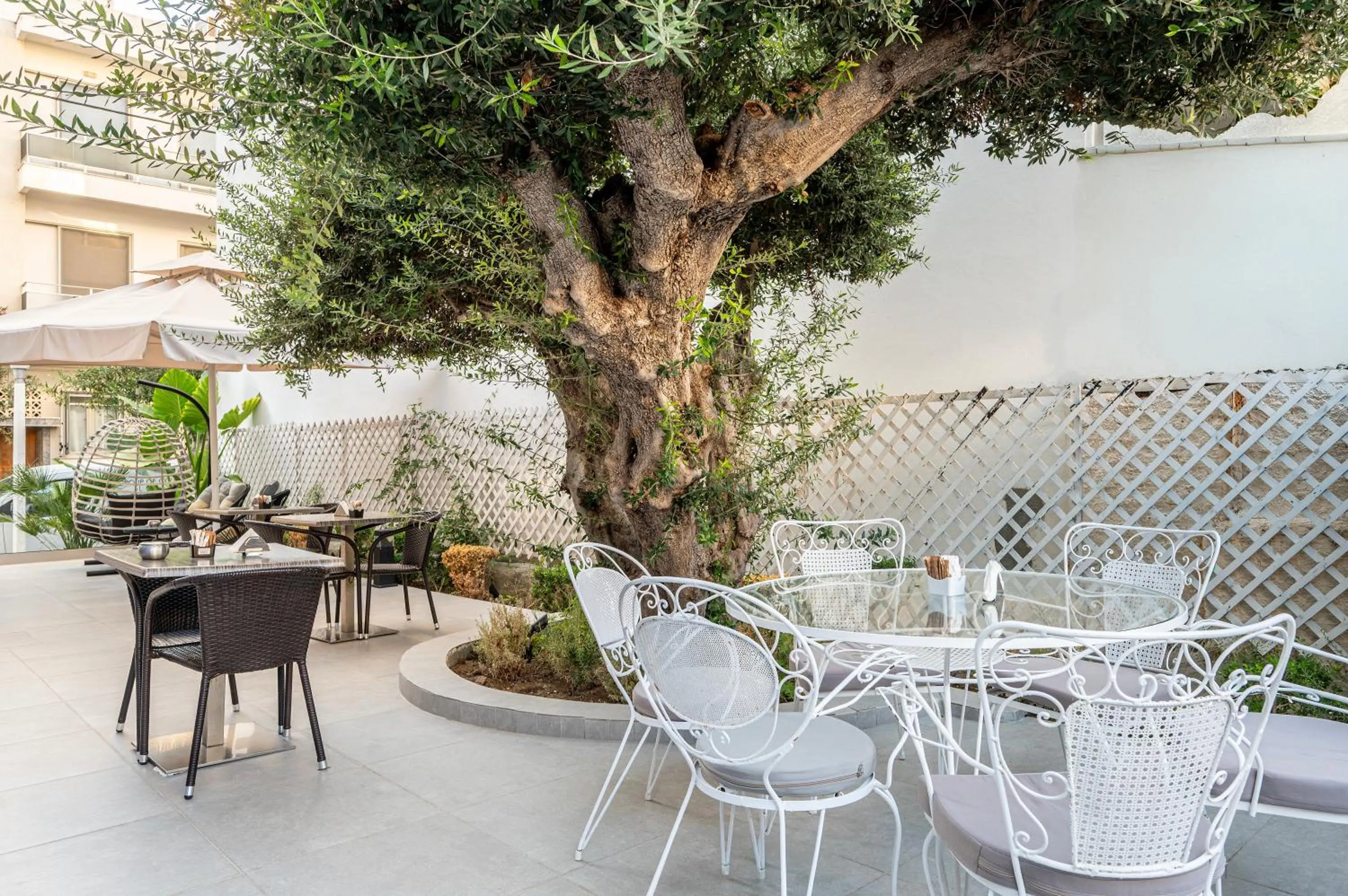 Restaurant/places to eat in Sonia Hotel & Suites - Adults Only