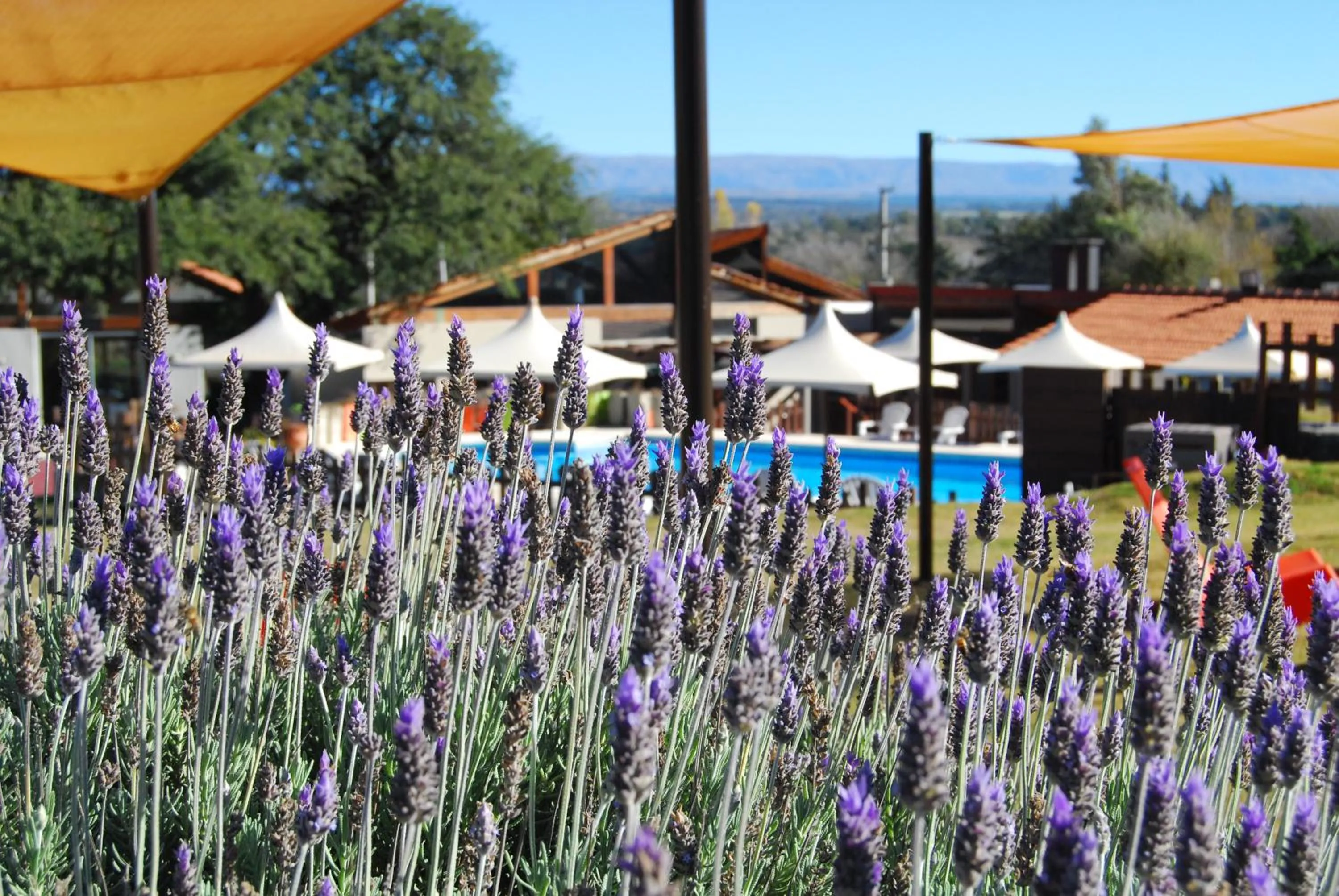 Garden in Harmonie Hotel De Montaña - Adults only