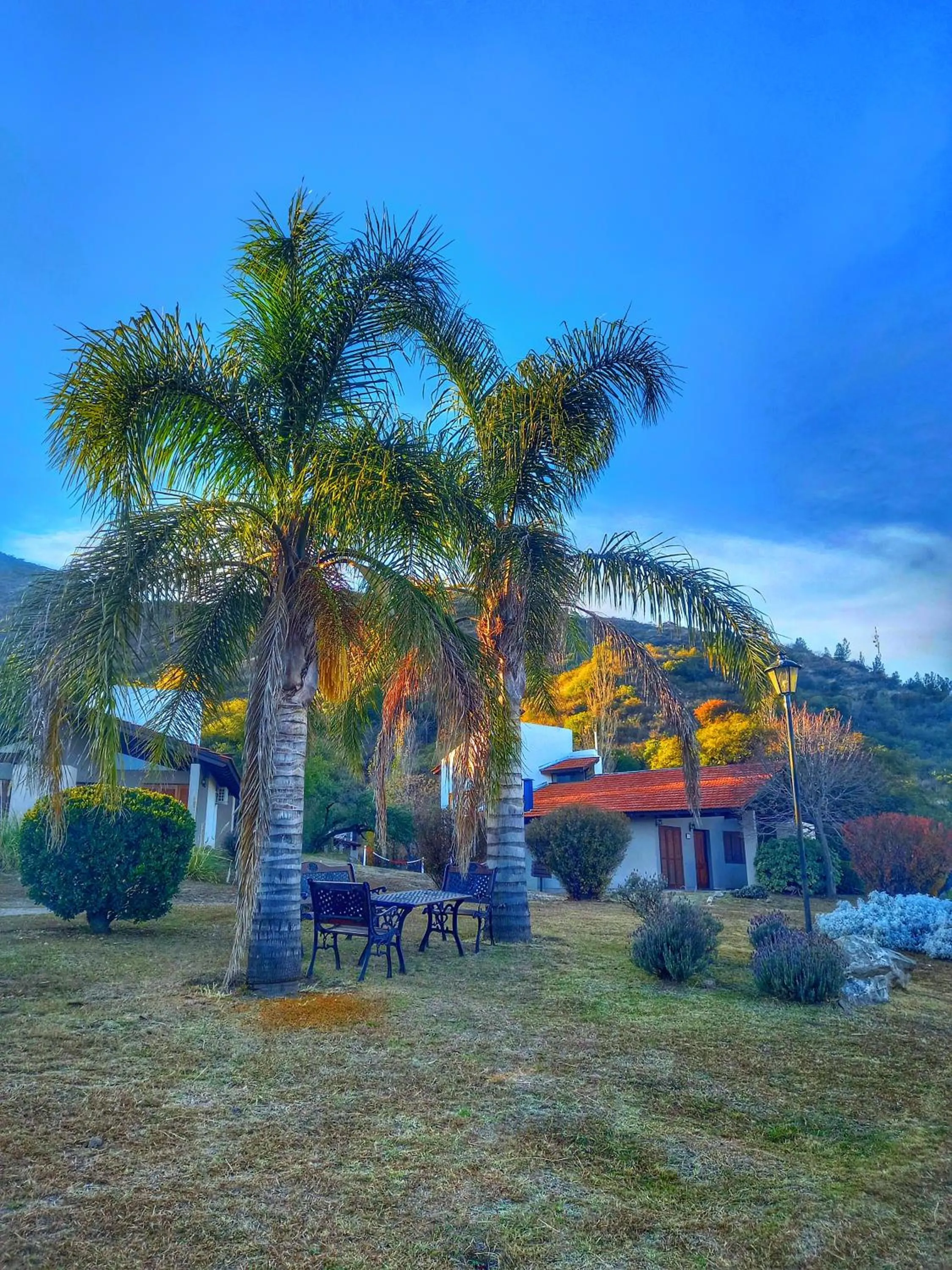 Garden view in Harmonie Hotel De Montaña - Adults only