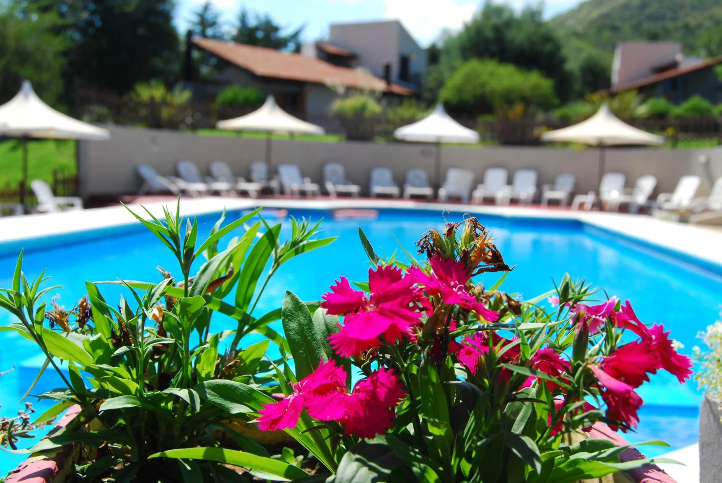 Swimming pool in Harmonie Hotel De Montaña - Adults only
