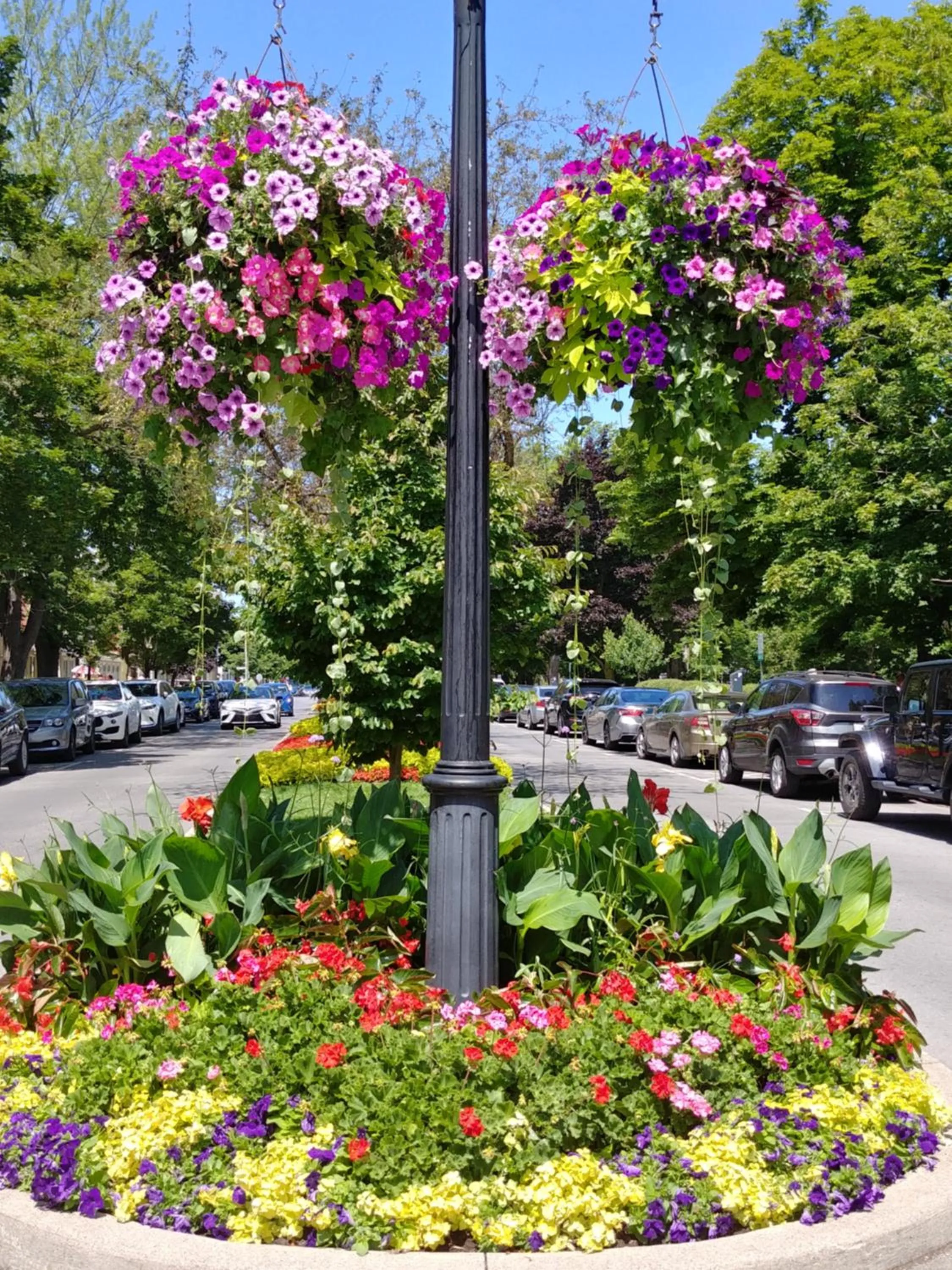 Neighbourhood in Historic Wilson-Guy House