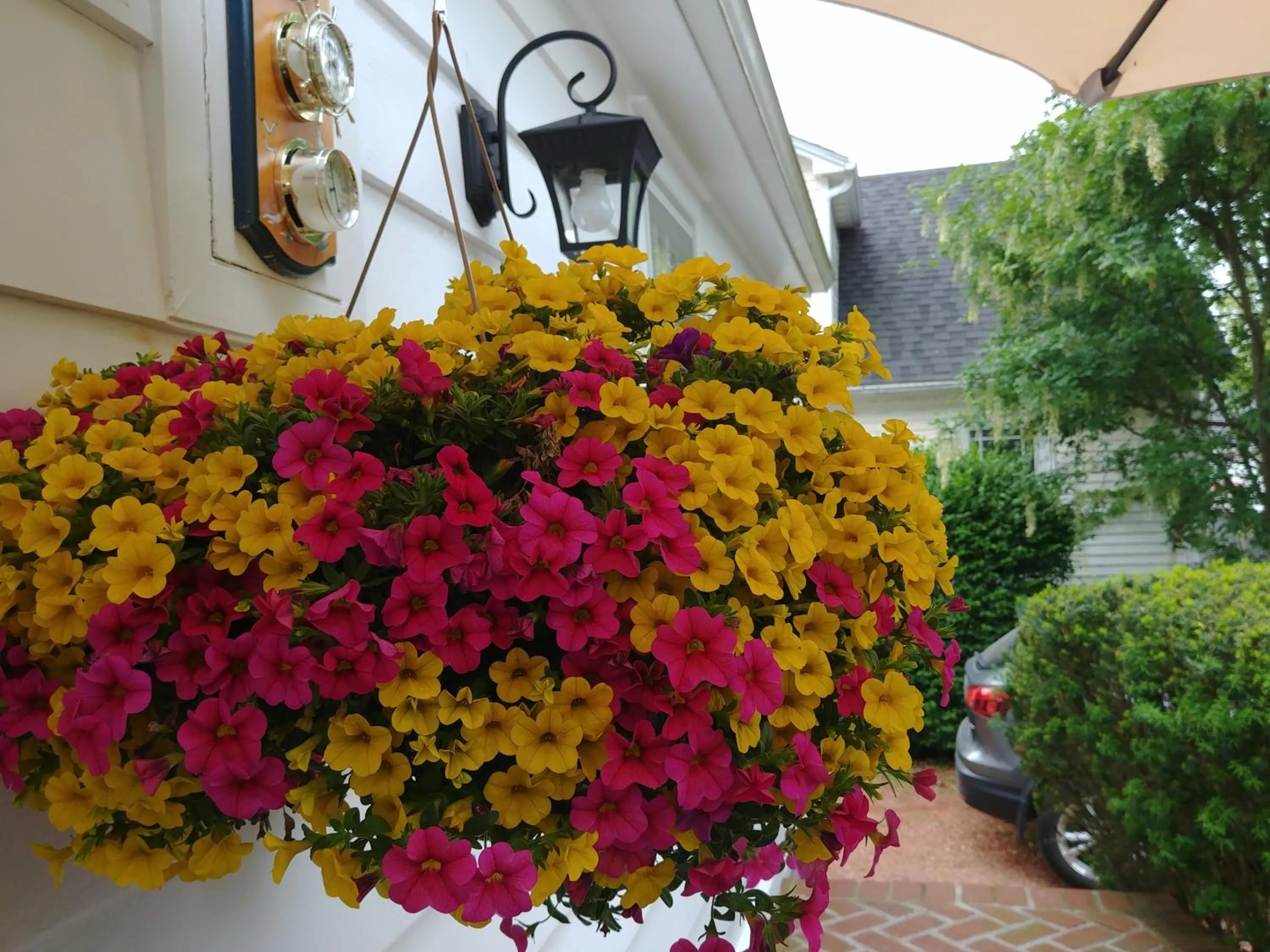 Decorative detail in Historic Wilson-Guy House