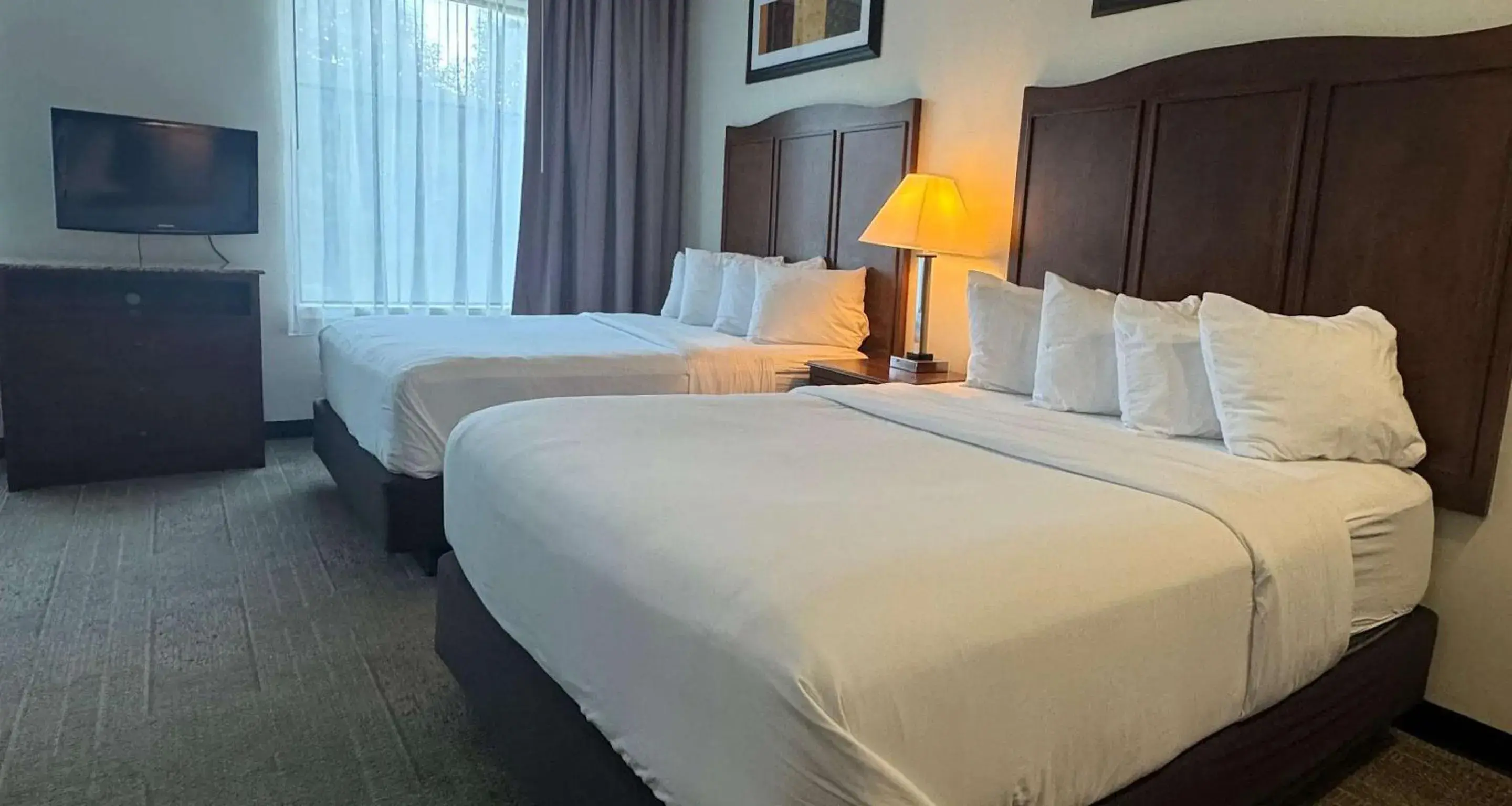 Bedroom, Bed in Best Western PLUS Hannaford Inn & Suites Bedroom, Bed in Best Western PLUS Hannaford Inn & Suites