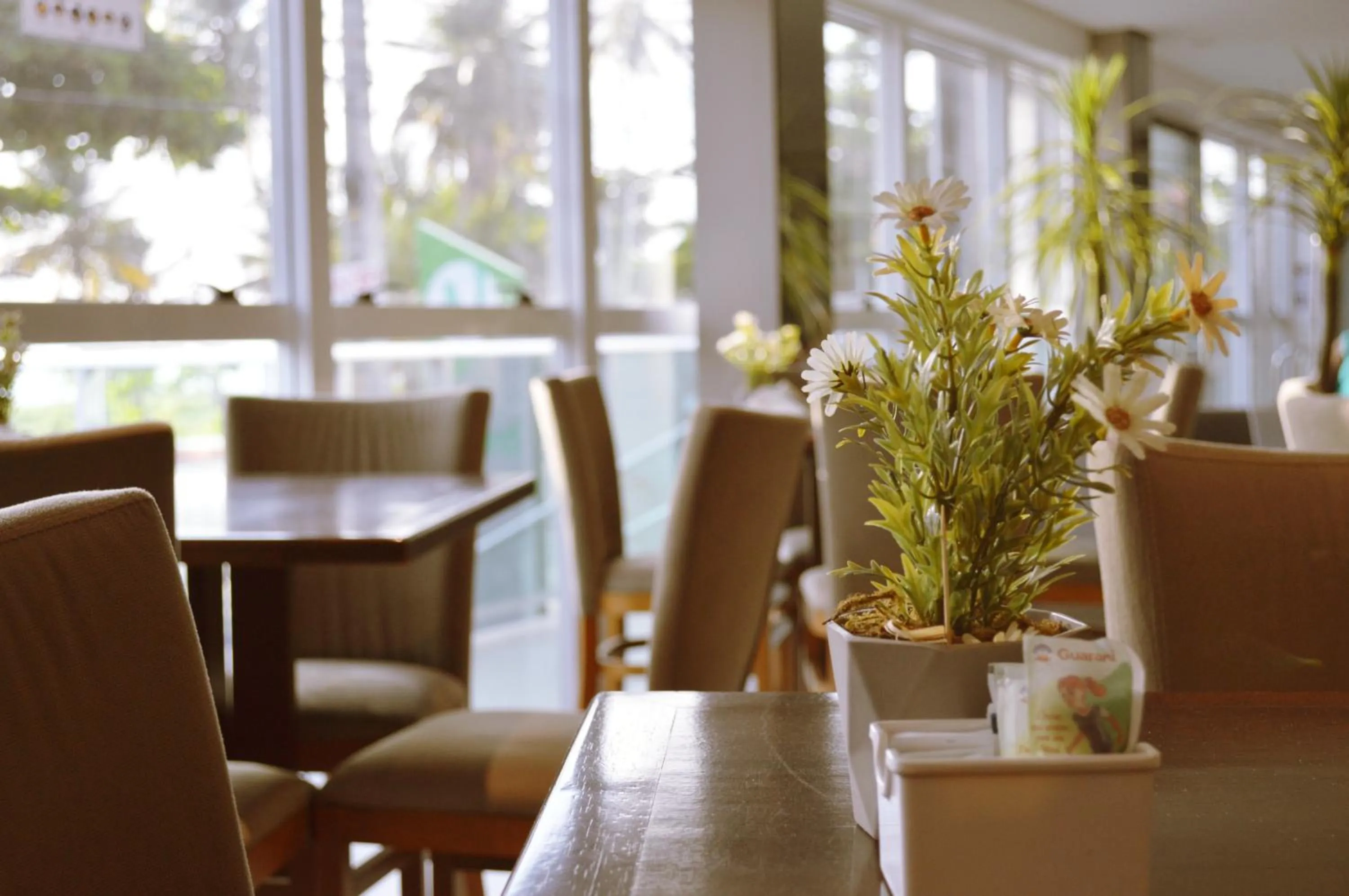 Restaurant/places to eat in Nord Easy Ondas do Atlantico