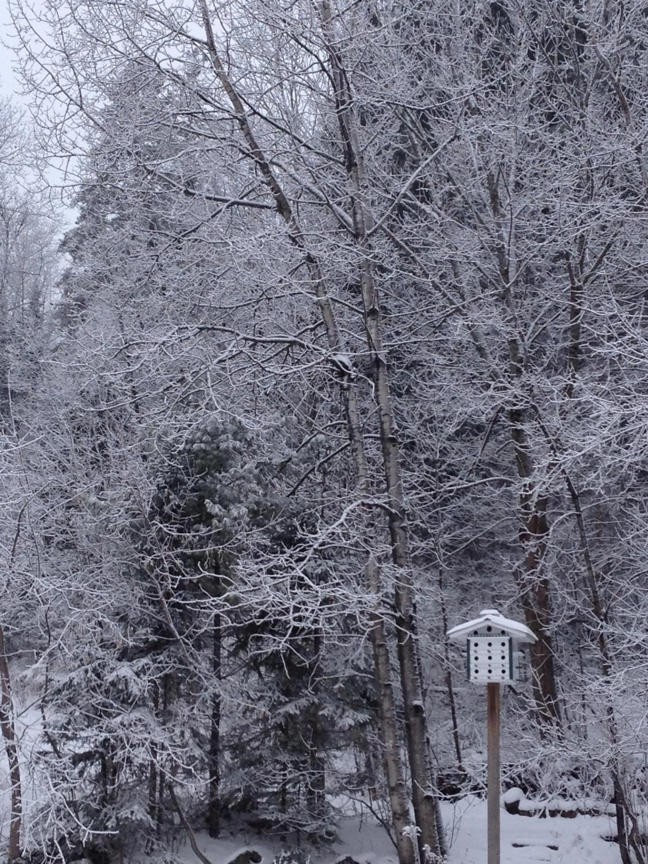 Natural landscape in Auberge De Mon Petit Chum B&B