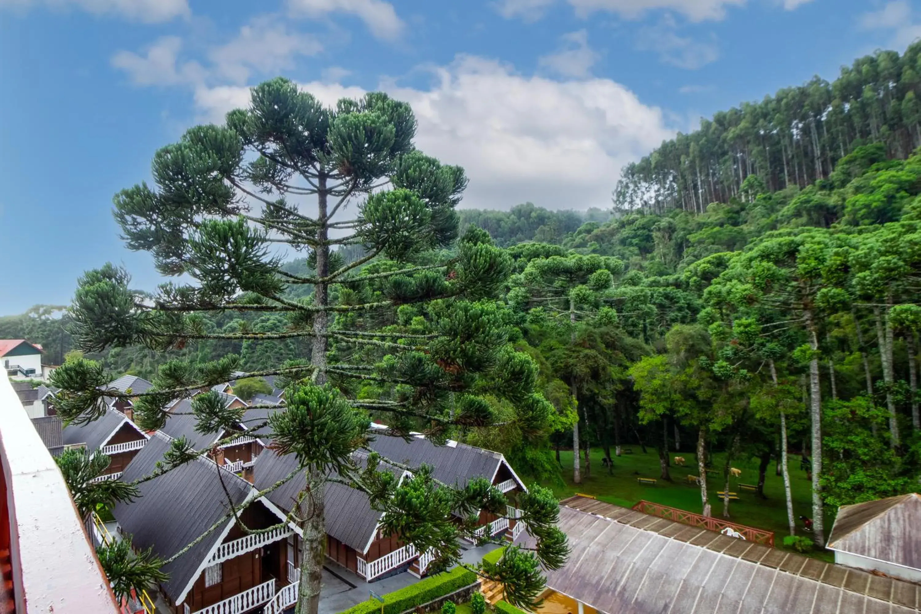 Master Room in VELINN Áustria Hotel Monte Verde Master Room in VELINN Áustria Hotel Monte Verde