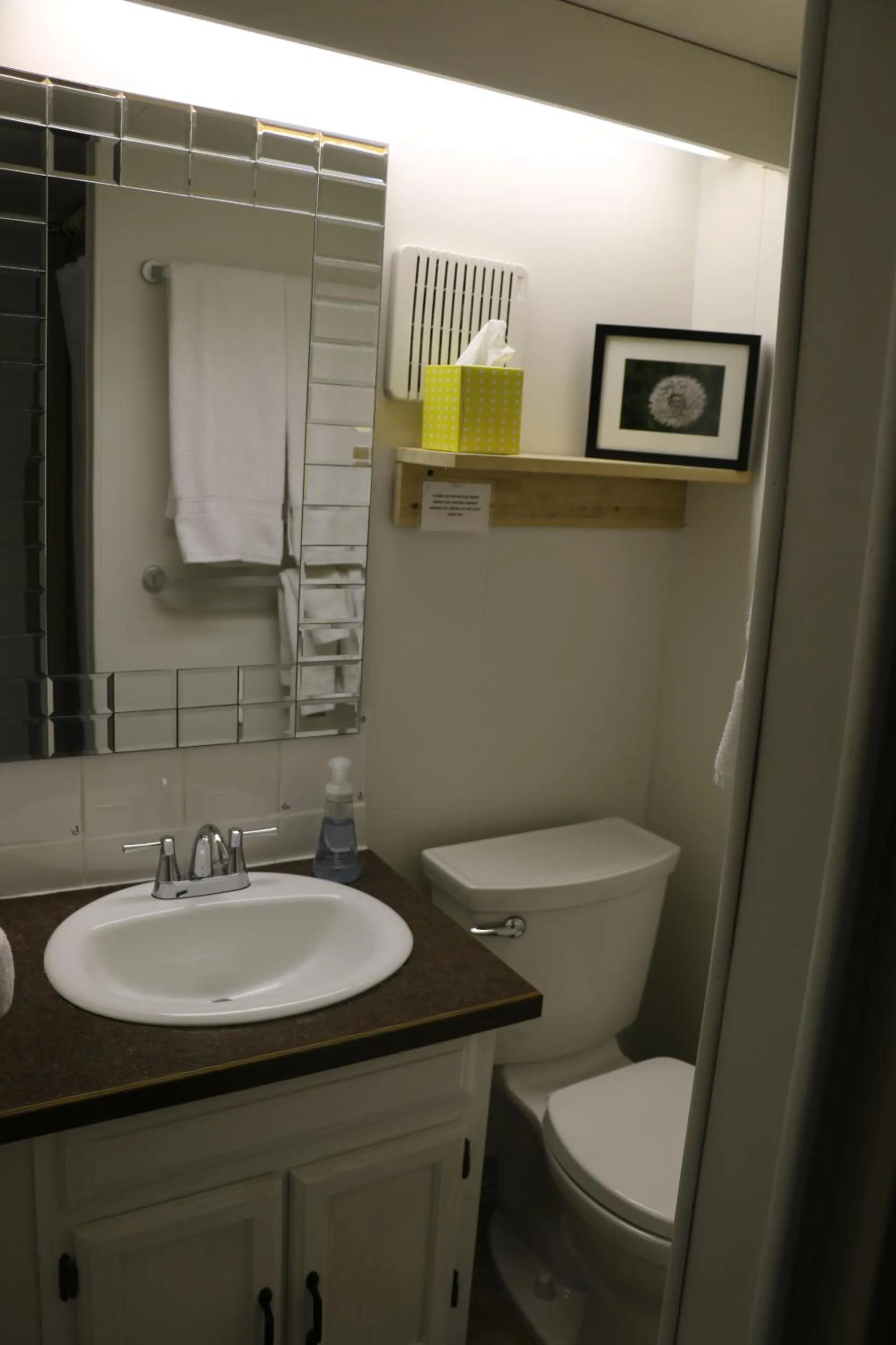 Toilet in Rocky Mountain Cabins and Home