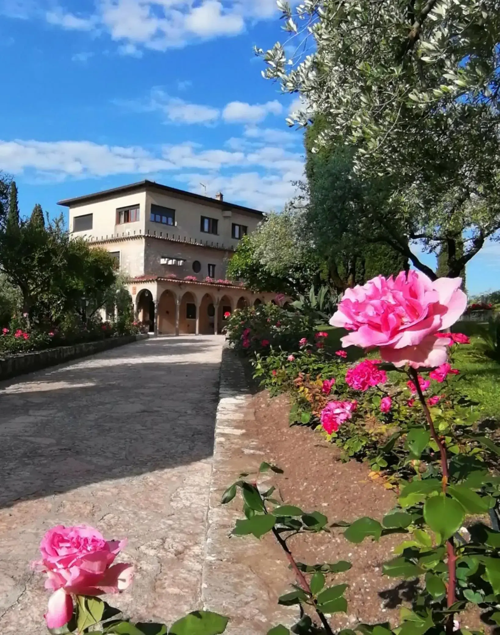Villa Paradiso Villa Paradiso