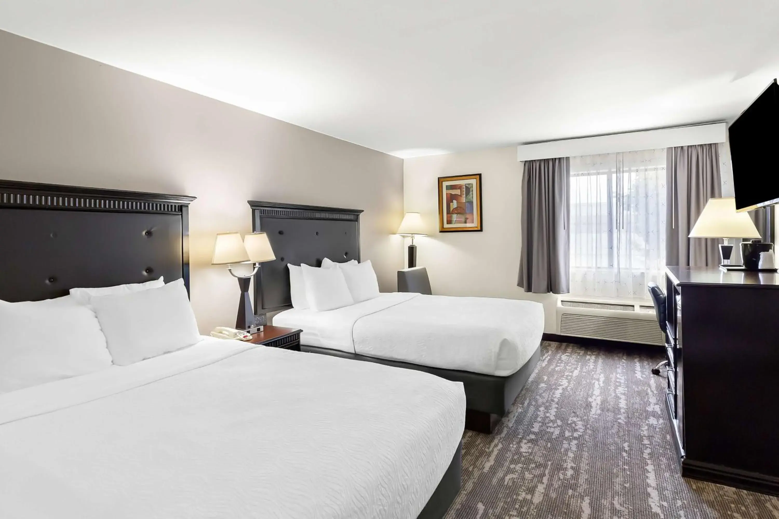 Queen Room with Three Queen Beds and Sofa Bed - Pet Friendly/Non-Smoking in Best Western Saluki Inn Queen Room with Three Queen Beds and Sofa Bed - Pet Friendly/Non-Smoking in Best Western Saluki Inn