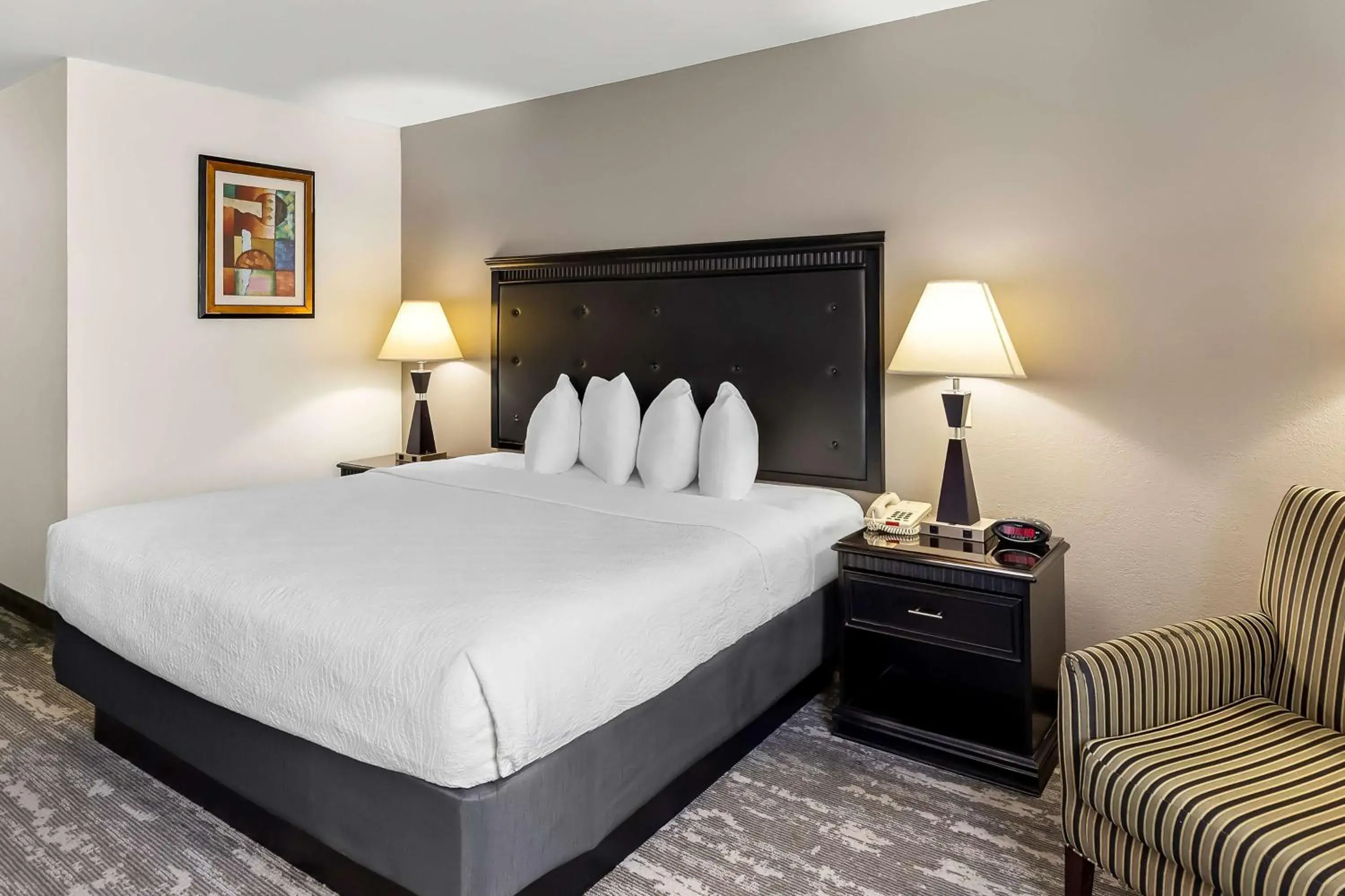 Bedroom, Bed in Best Western Saluki Inn Bedroom, Bed in Best Western Saluki Inn