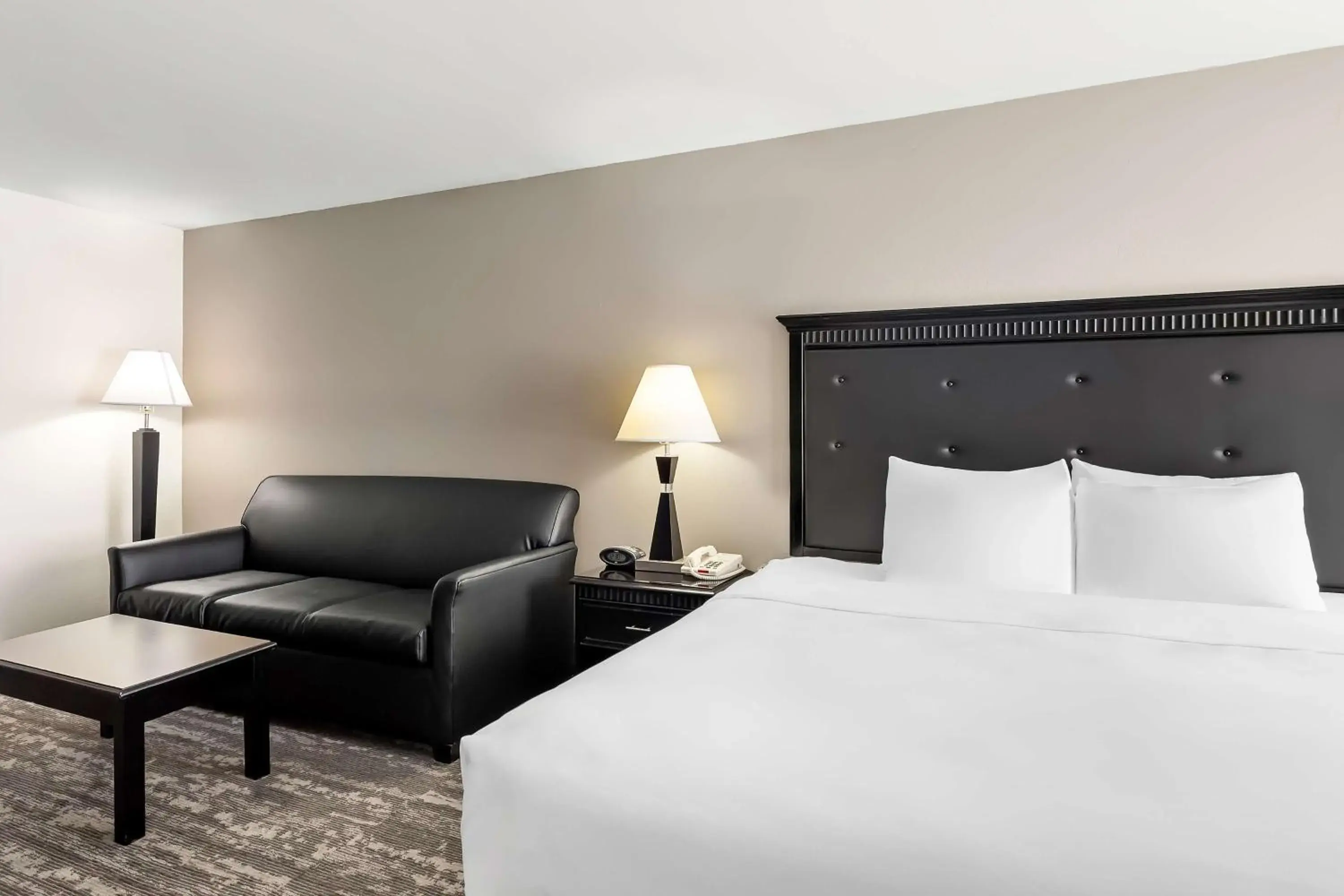 Bedroom, Bed in Best Western Saluki Inn Bedroom, Bed in Best Western Saluki Inn