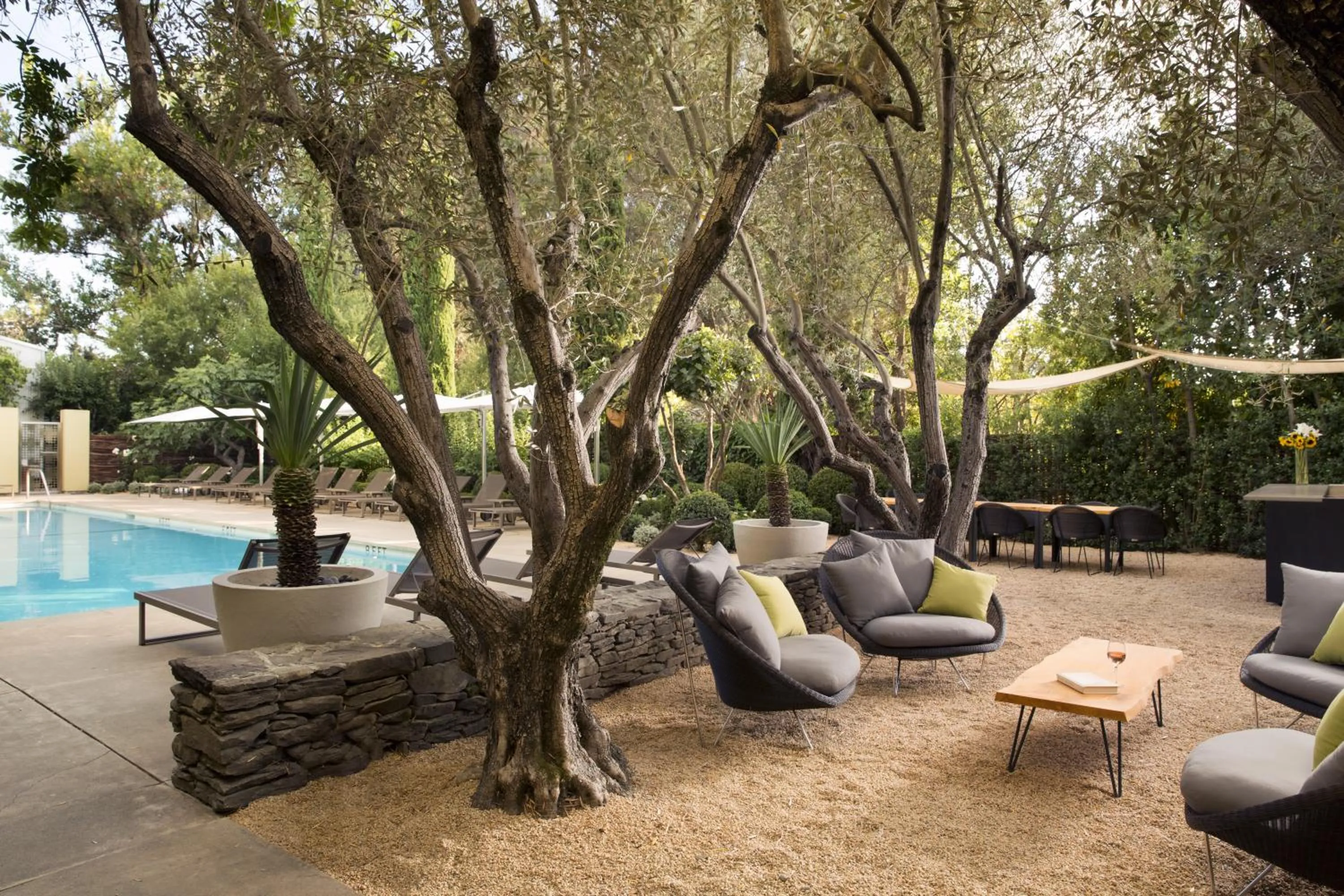 Patio in Hotel Healdsburg