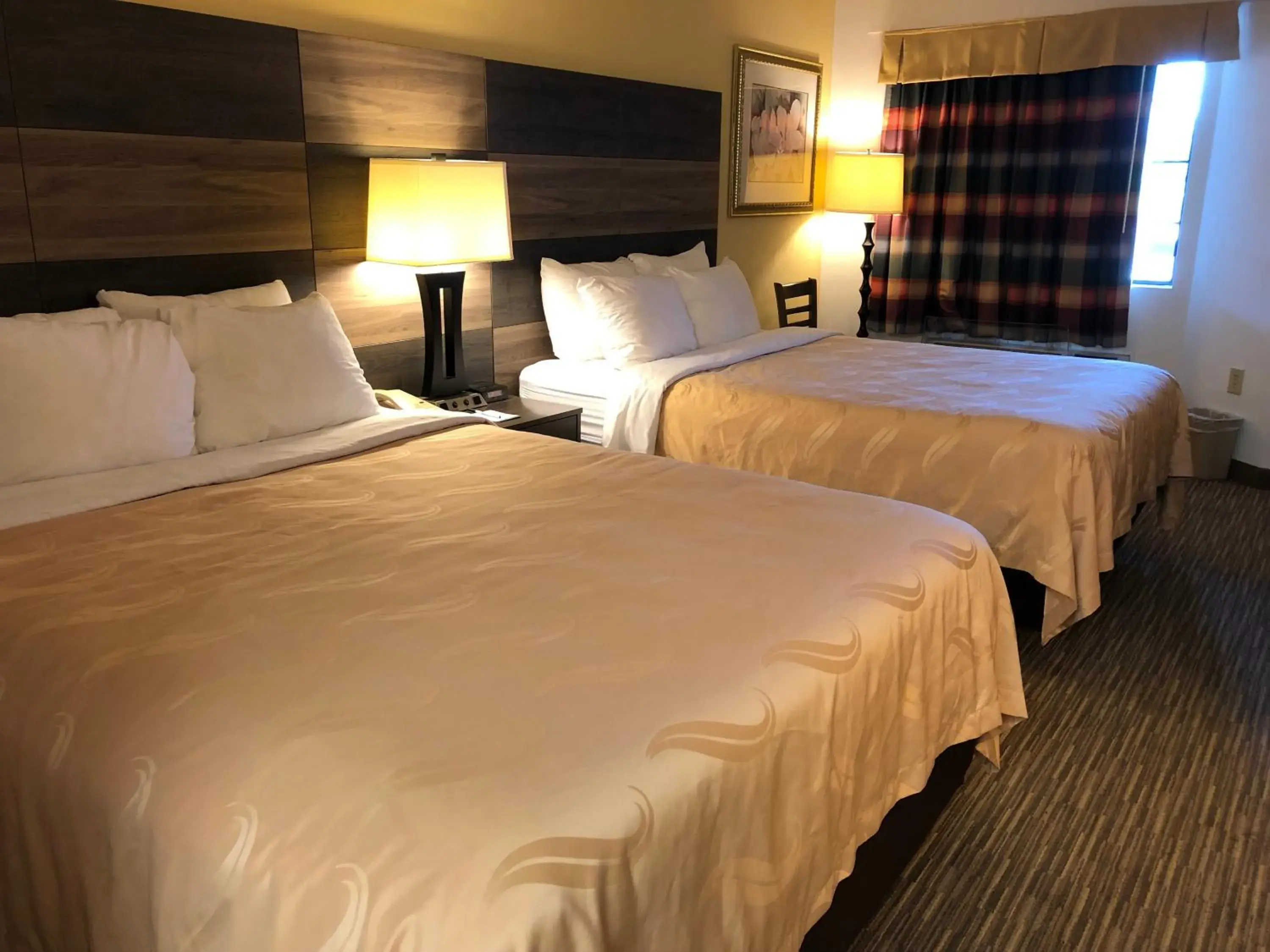 Bed in Quality Inn Bennettsville Bed in Quality Inn Bennettsville