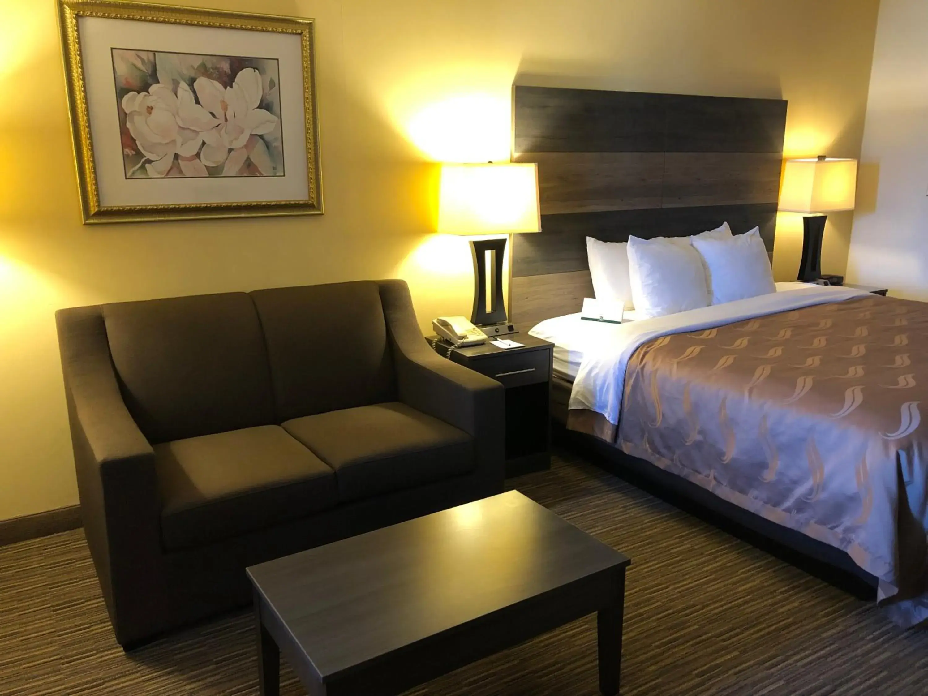 Bedroom, Bed in Quality Inn Bennettsville Bedroom, Bed in Quality Inn Bennettsville