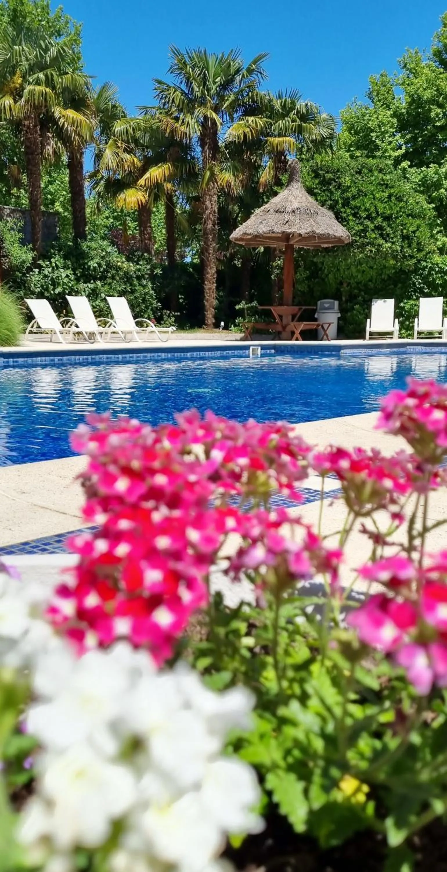 Swimming pool in Hotel Italiano