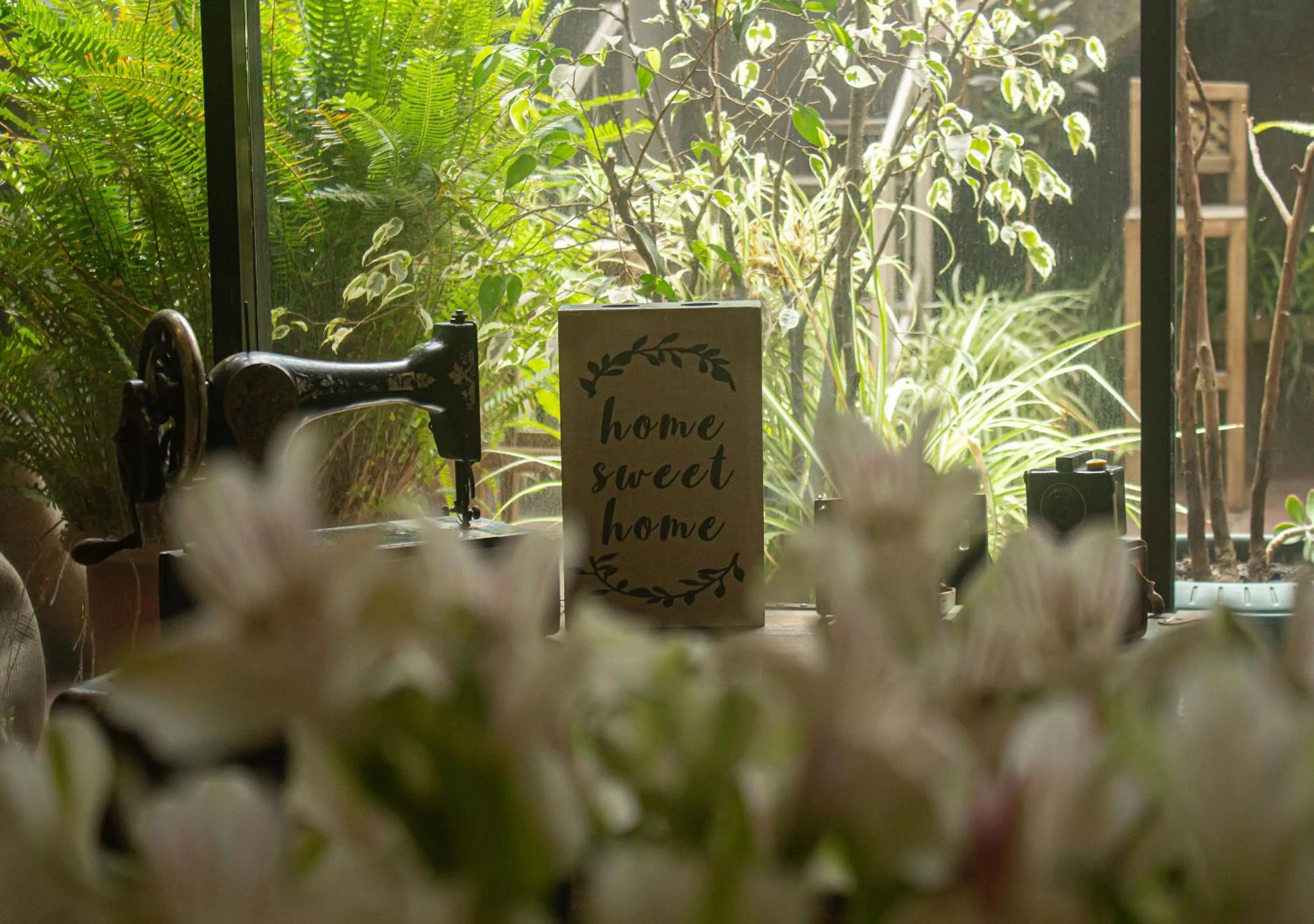 Decorative detail in Filatelia Suites & Travel