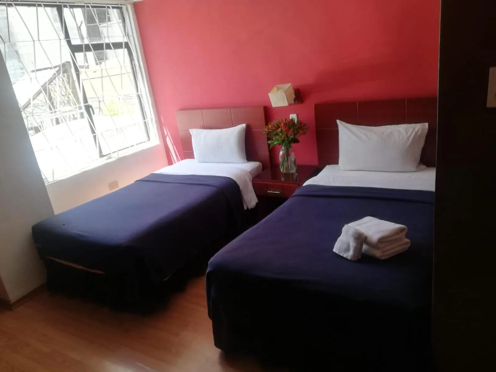 Garden view in Filatelia Suites & Travel