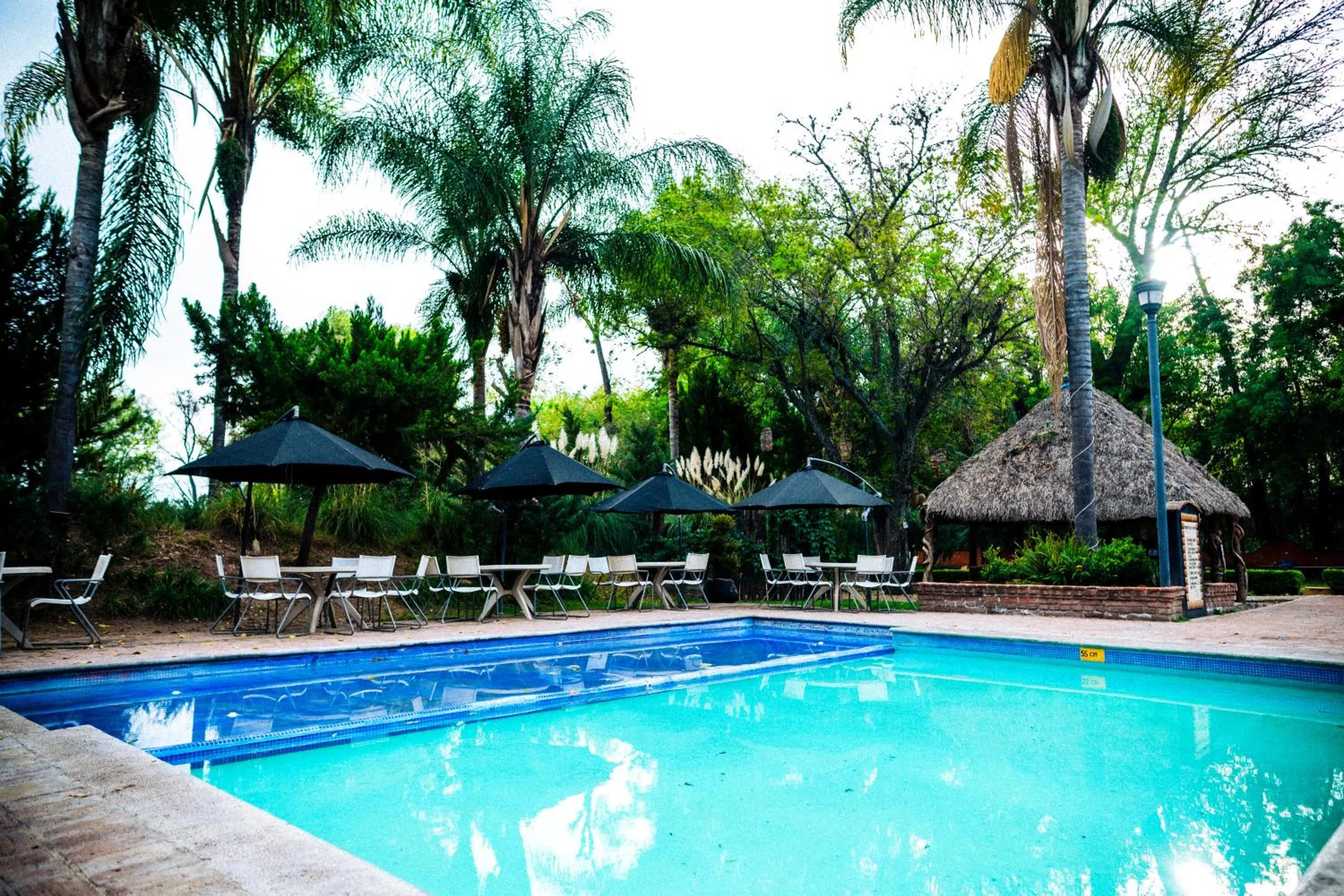 Pool view in El Marques Hacienda