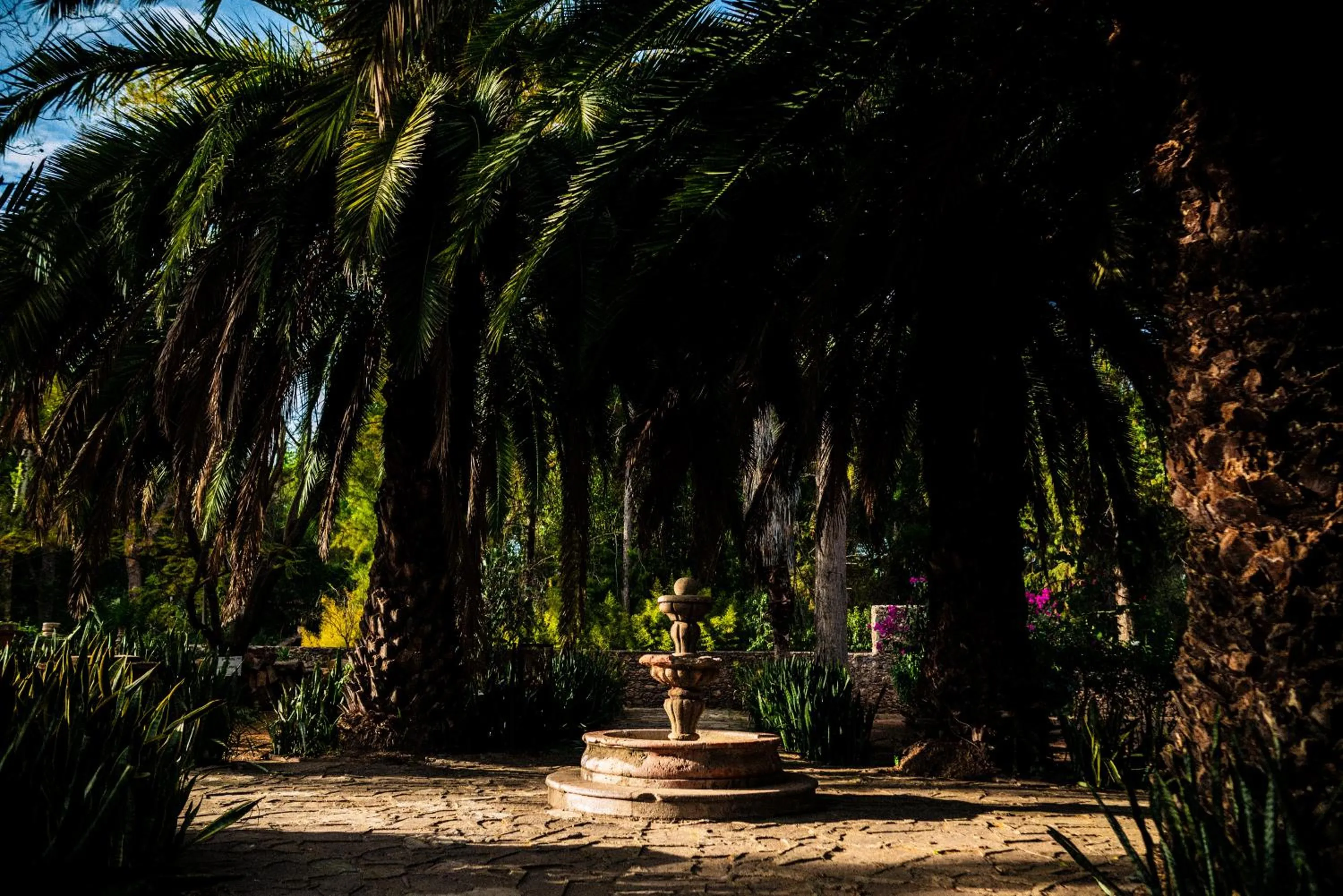 Natural landscape in El Marques Hacienda