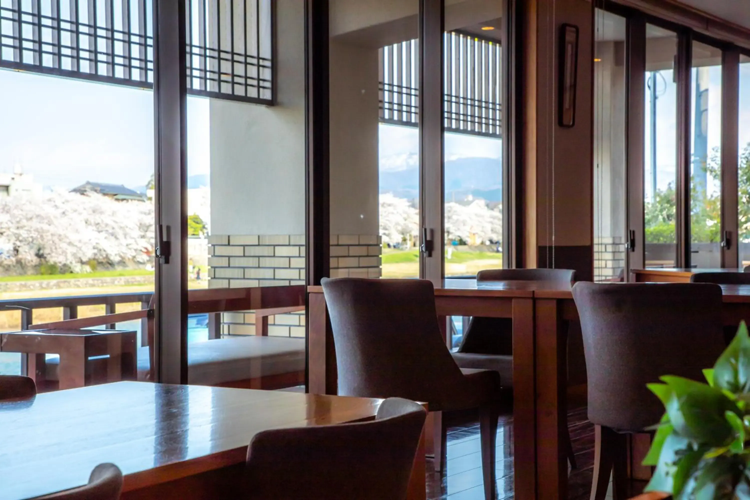 Restaurant/places to eat in Yuyaruru Saisai Restaurant/places to eat in Yuyaruru Saisai