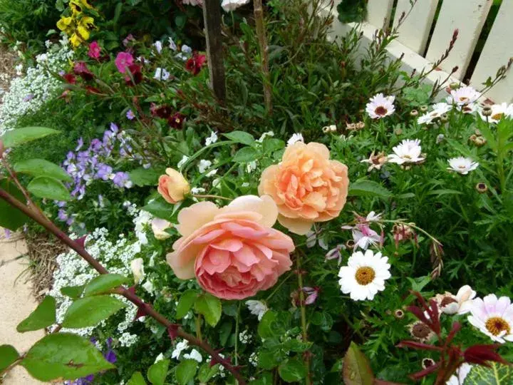 Reid's Place Reid's Place