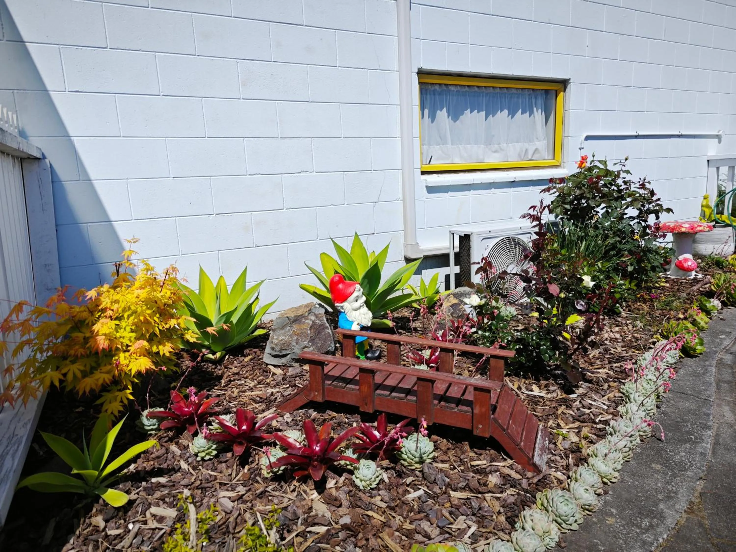 Garden in Accommodation Te Puna