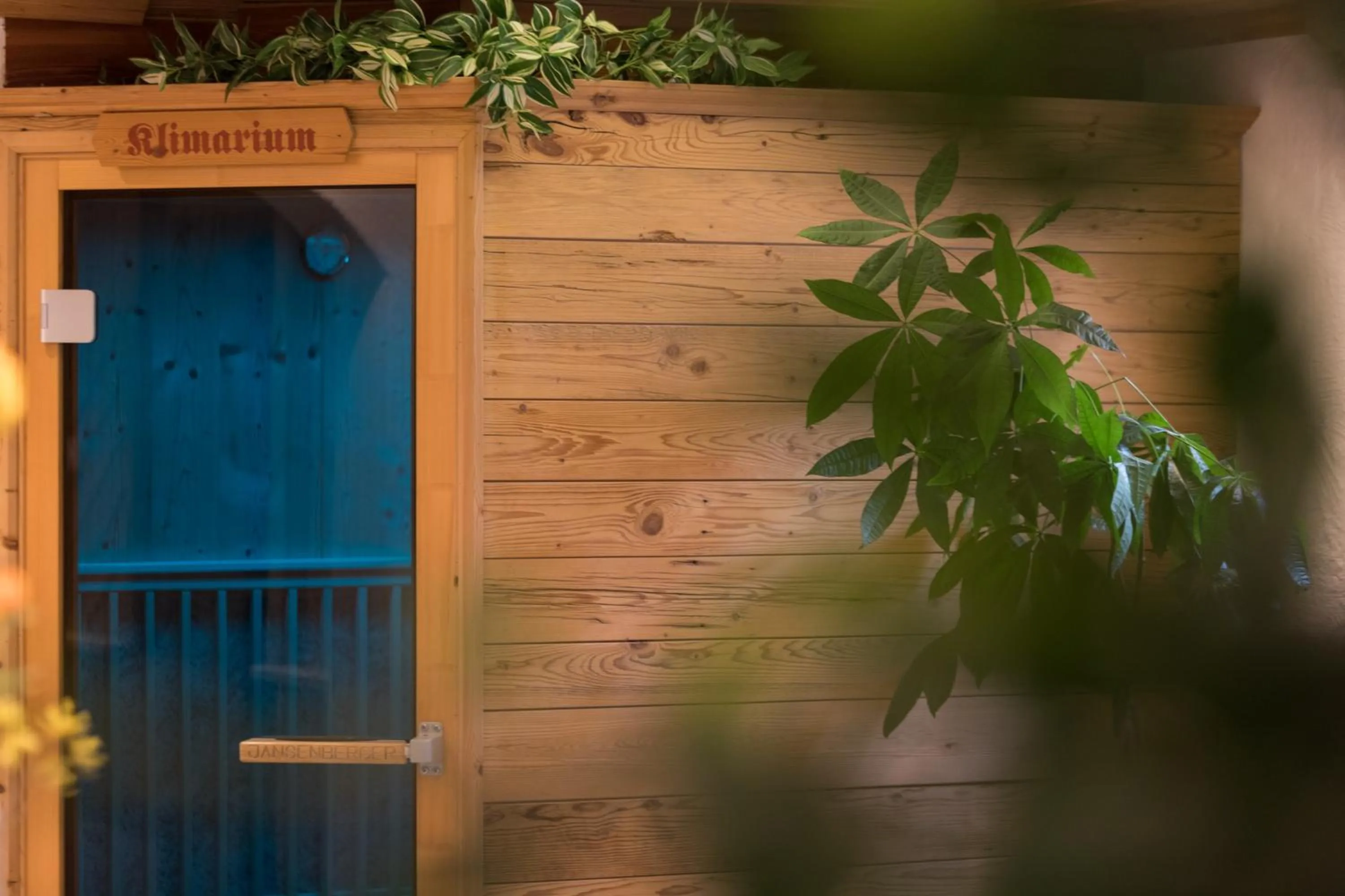 Sauna in ApartHotel Holzerhof