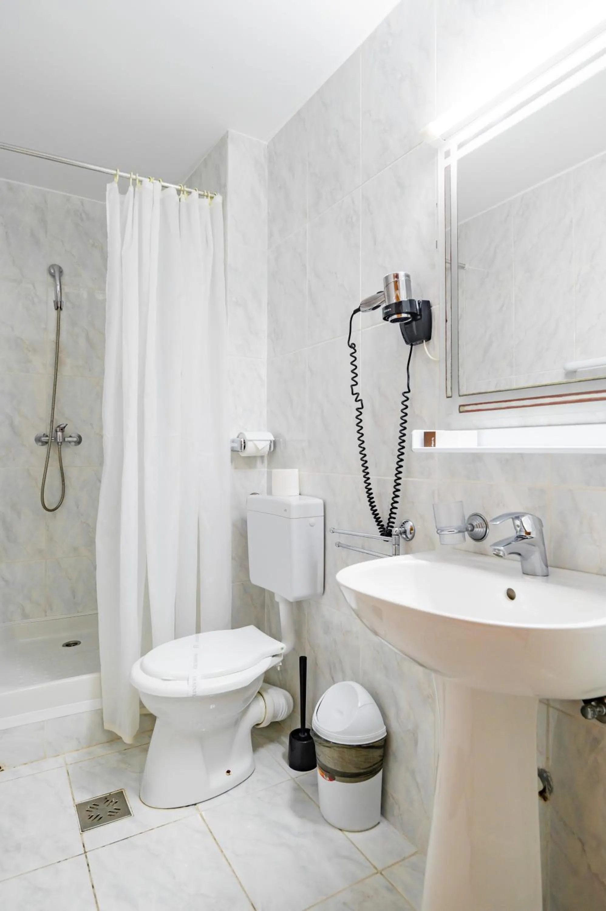 Complex Paloma Coral