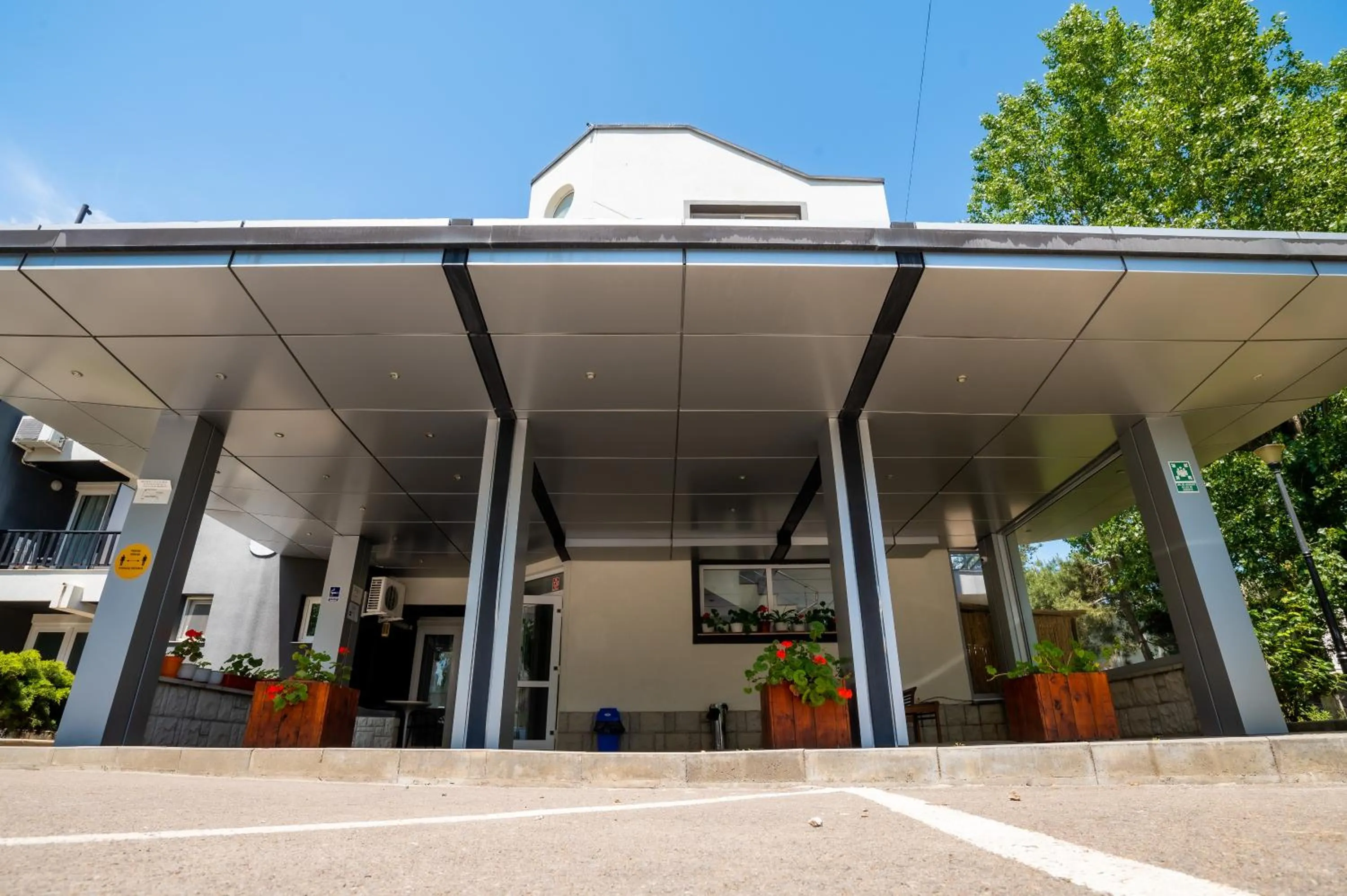 Complex Paloma Coral