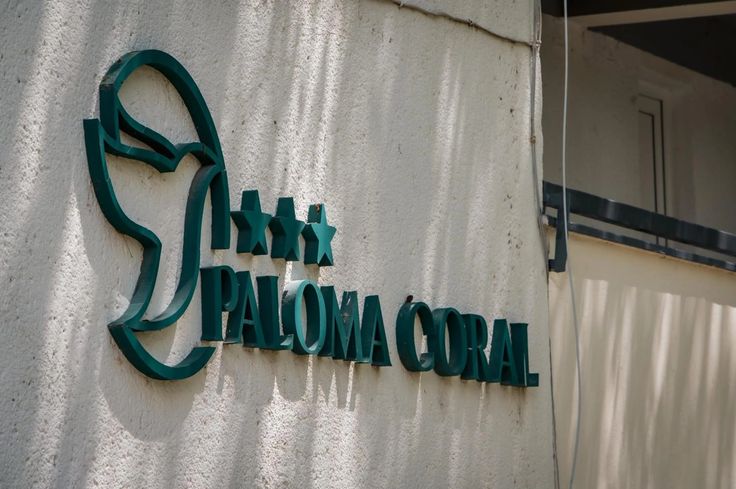 Complex Paloma Coral