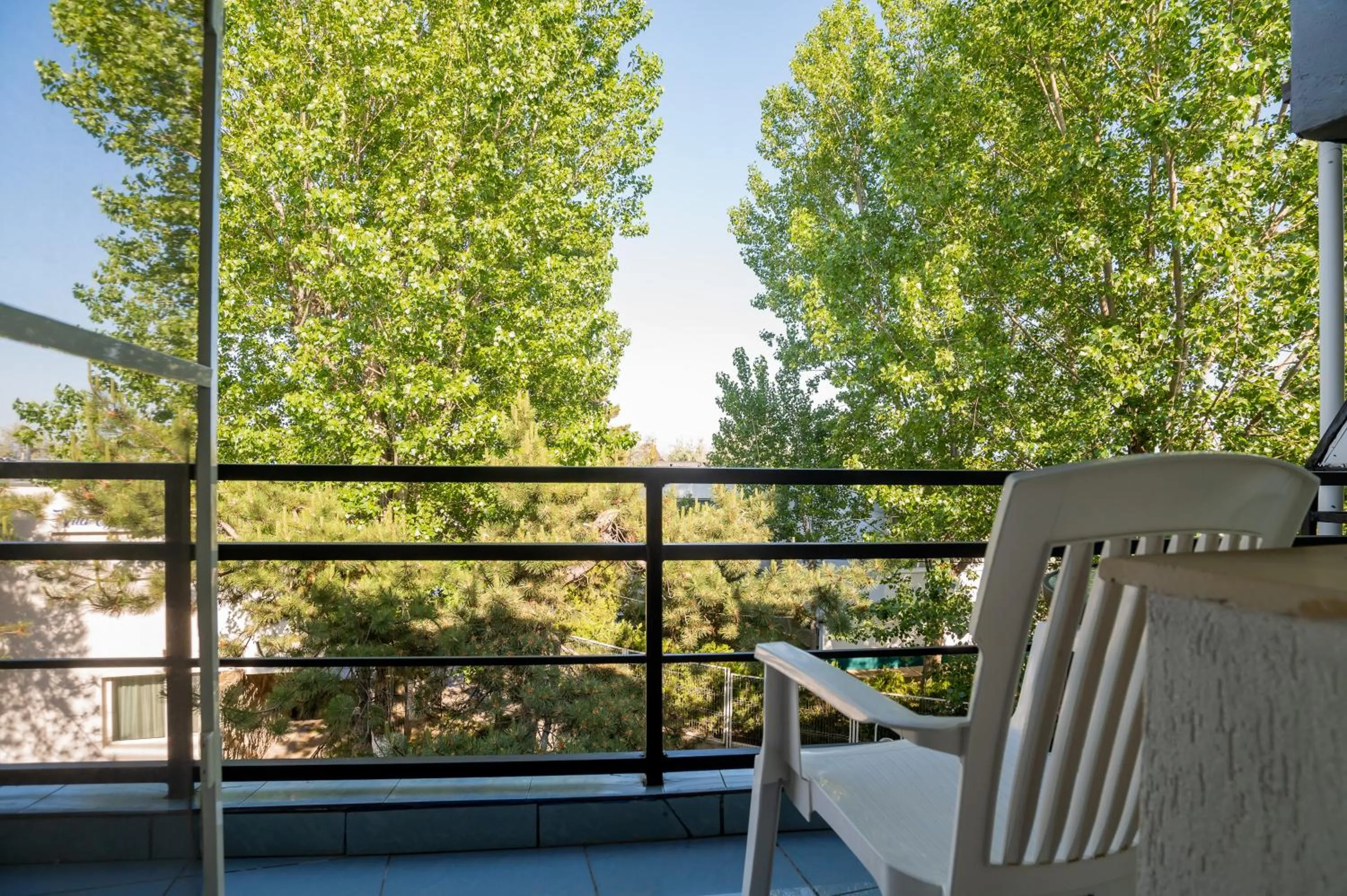 Complex Paloma Coral