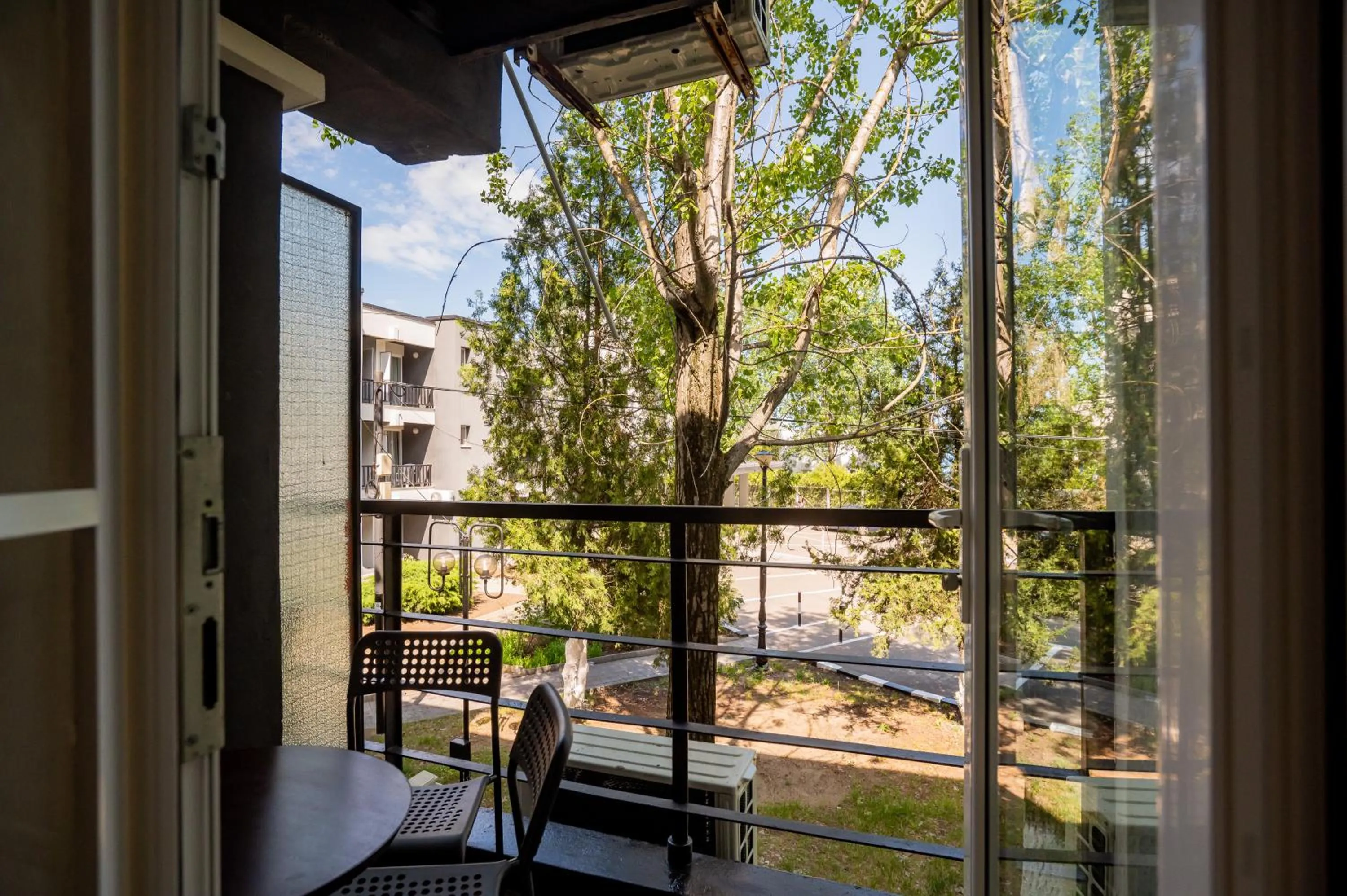 Complex Paloma Coral