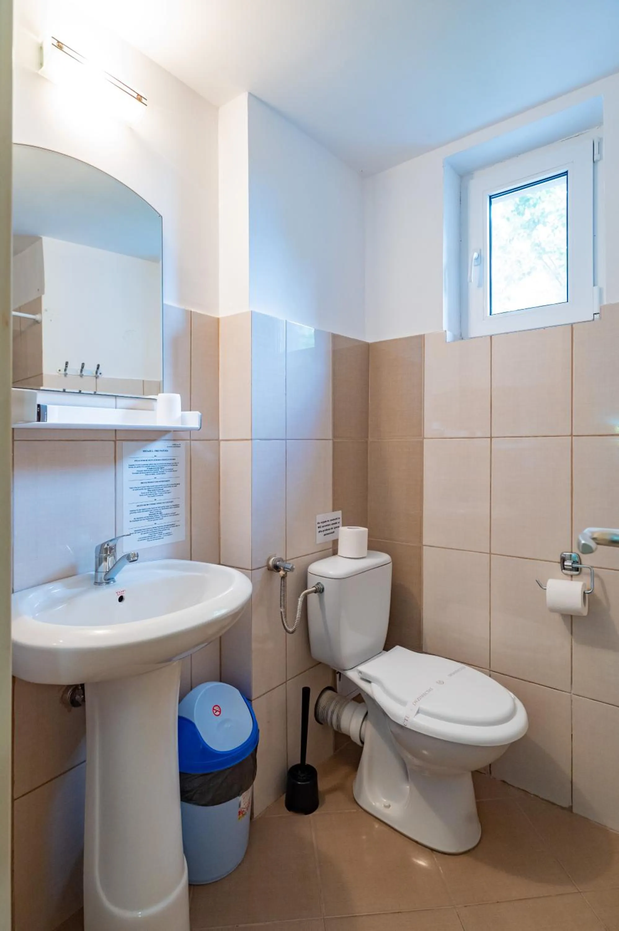 Complex Paloma Coral