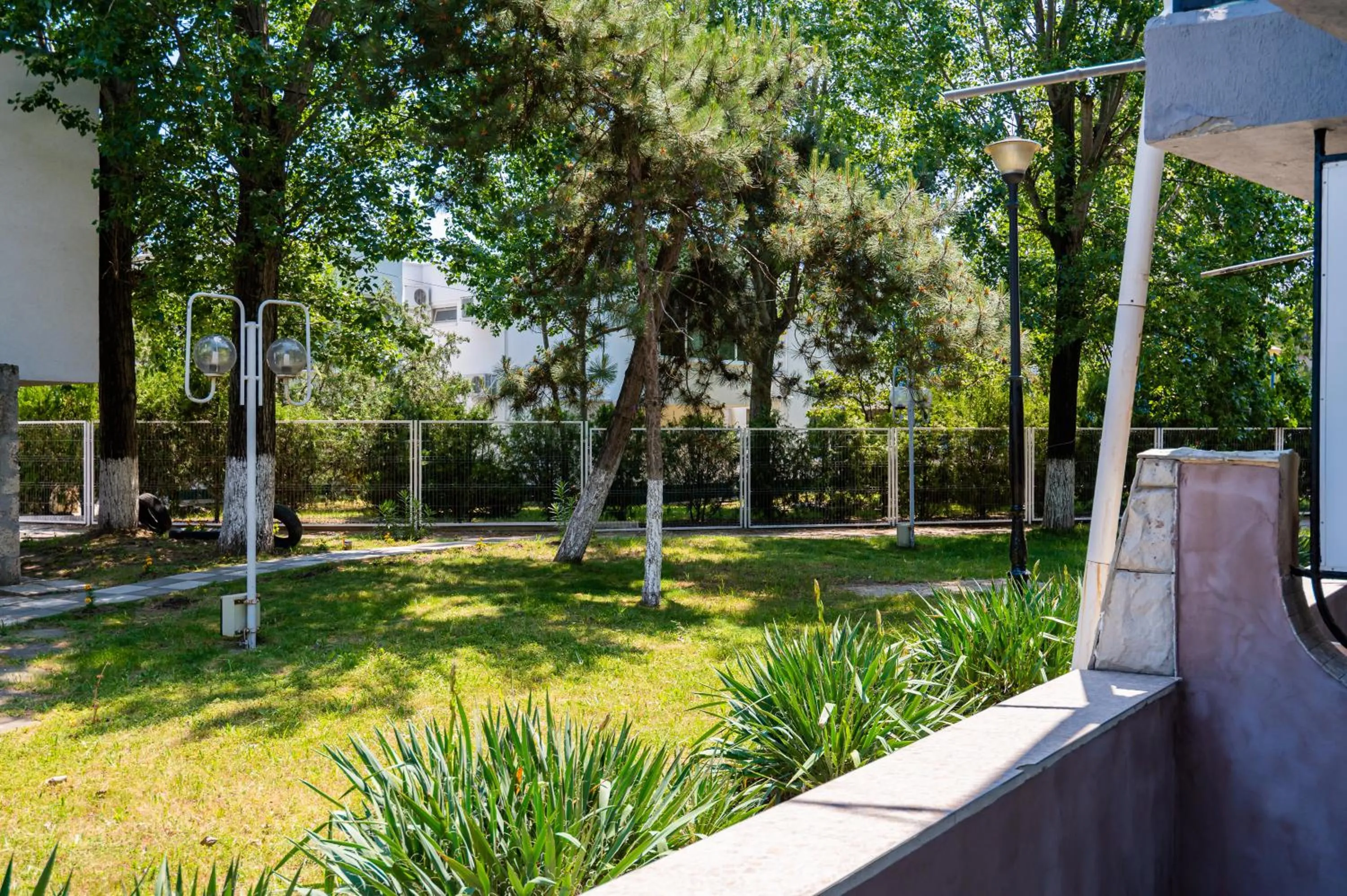 Complex Paloma Coral