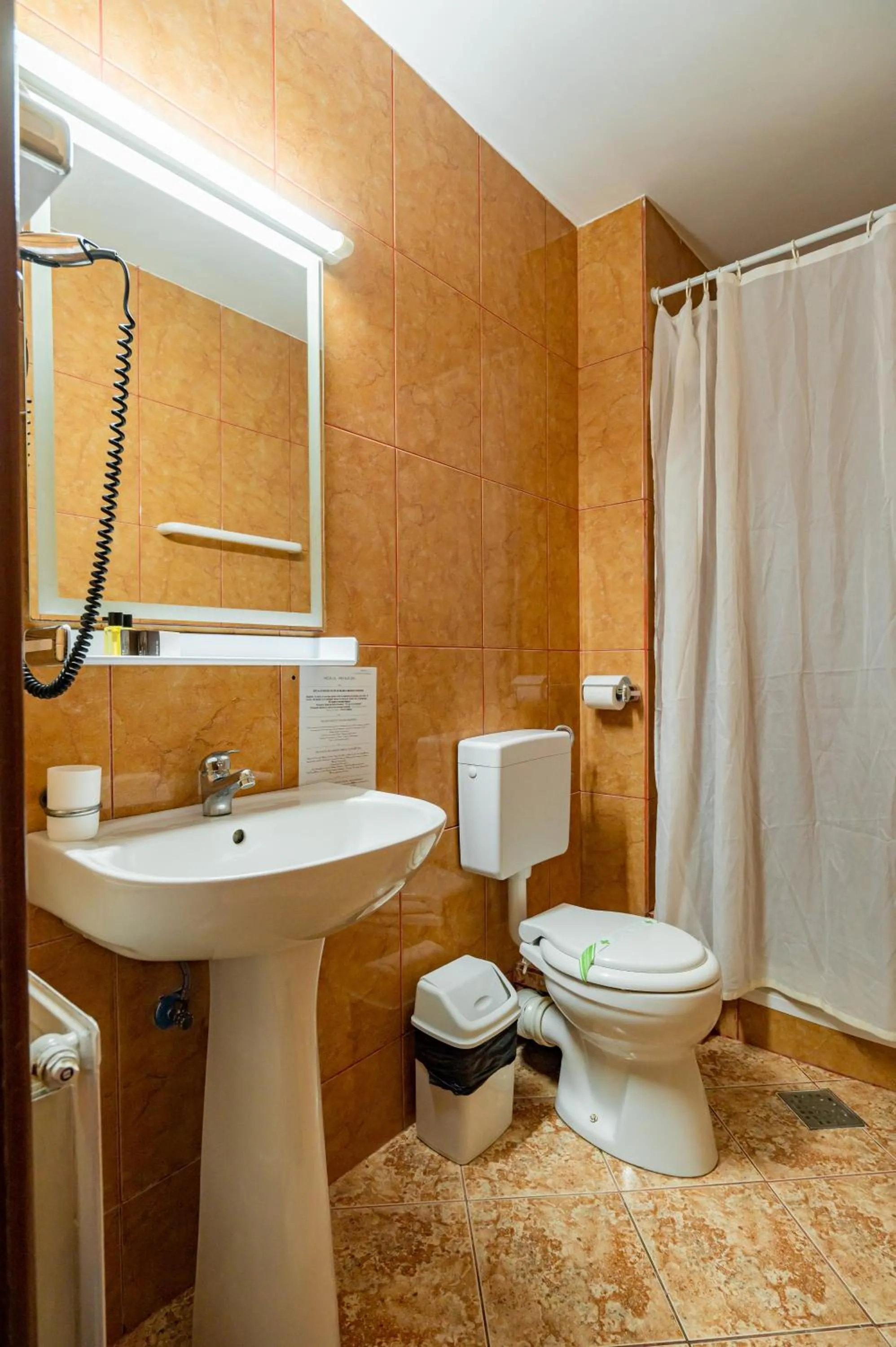 Complex Paloma Coral