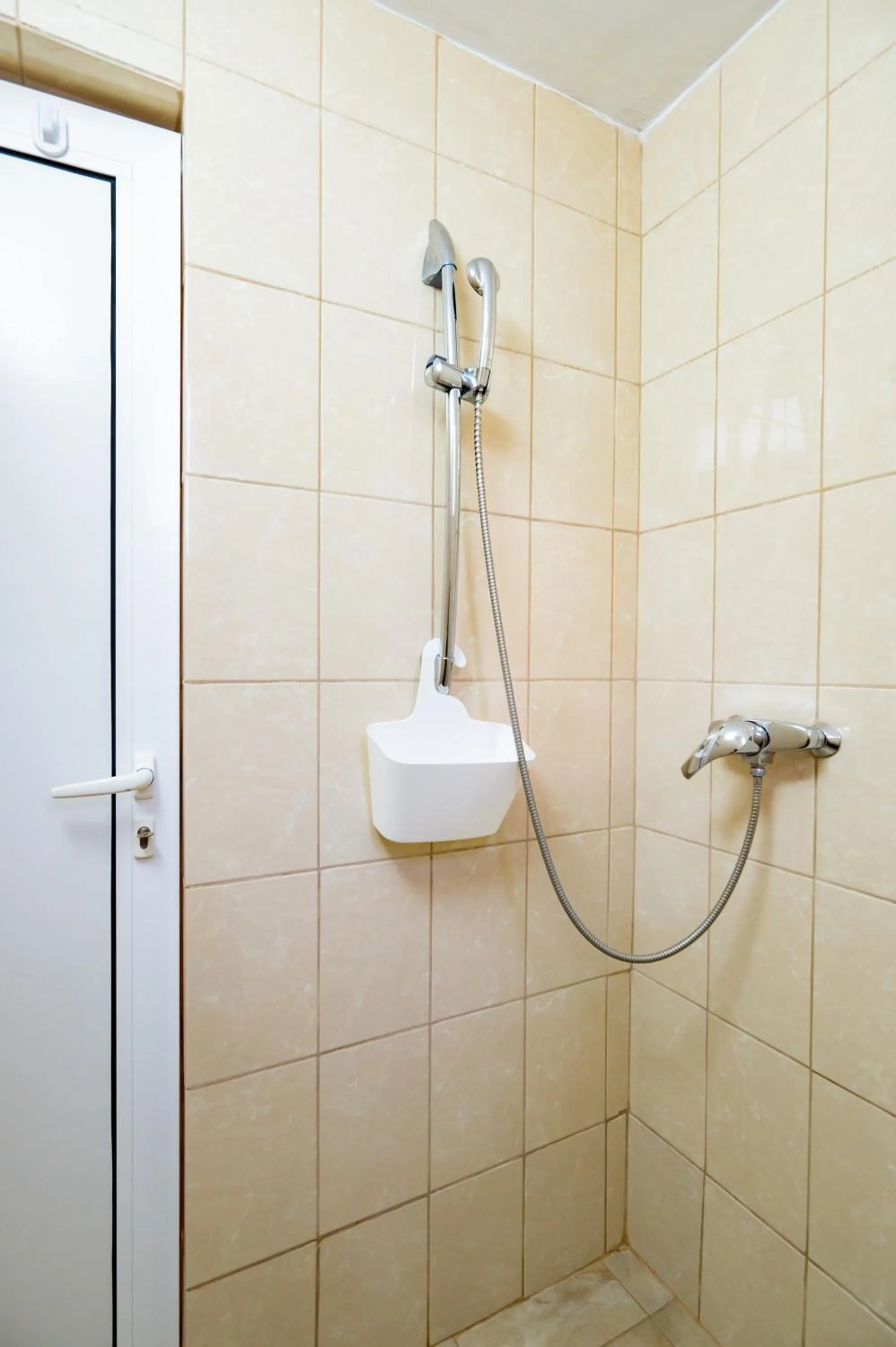 Complex Paloma Coral