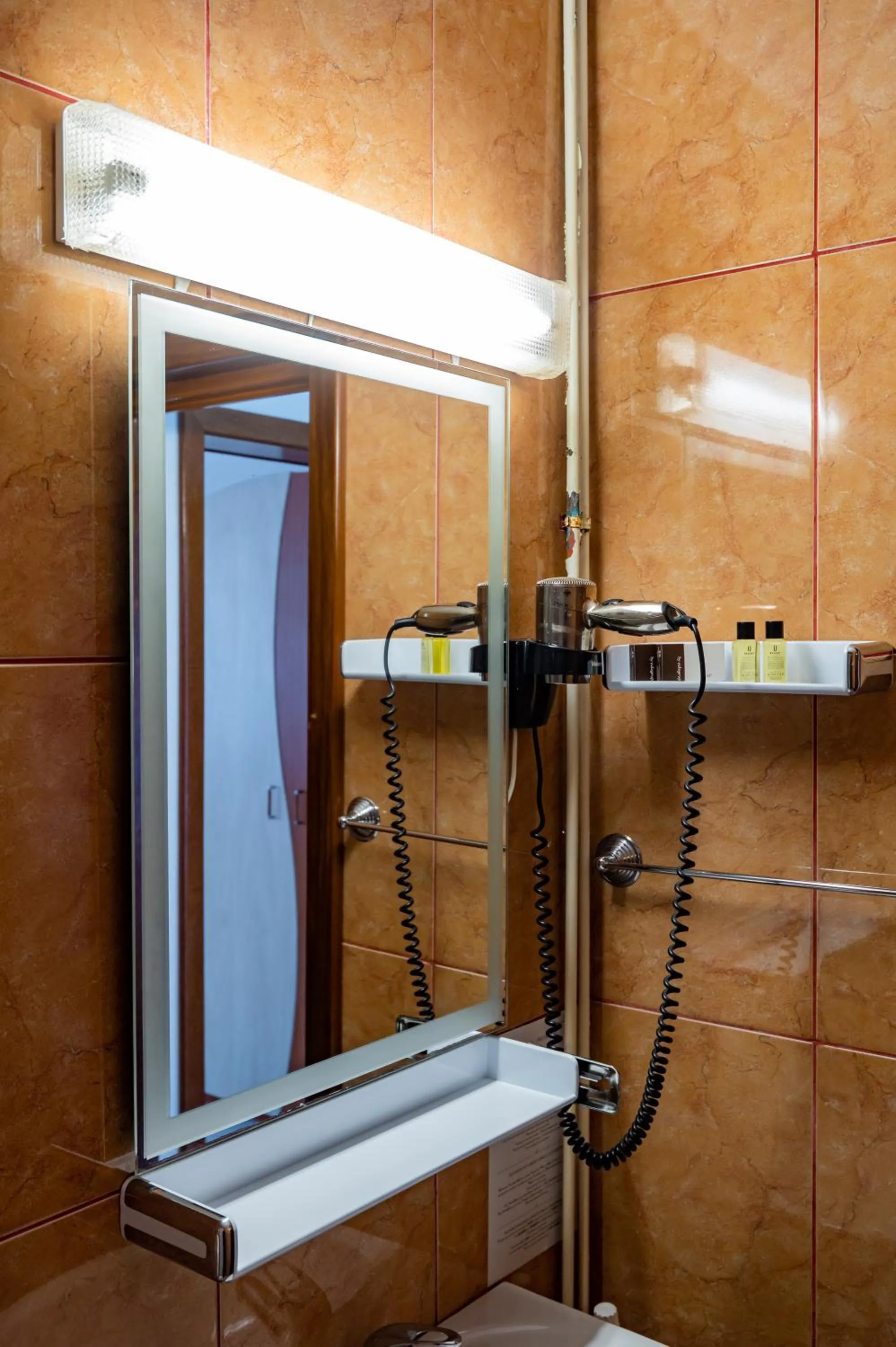 Complex Paloma Coral