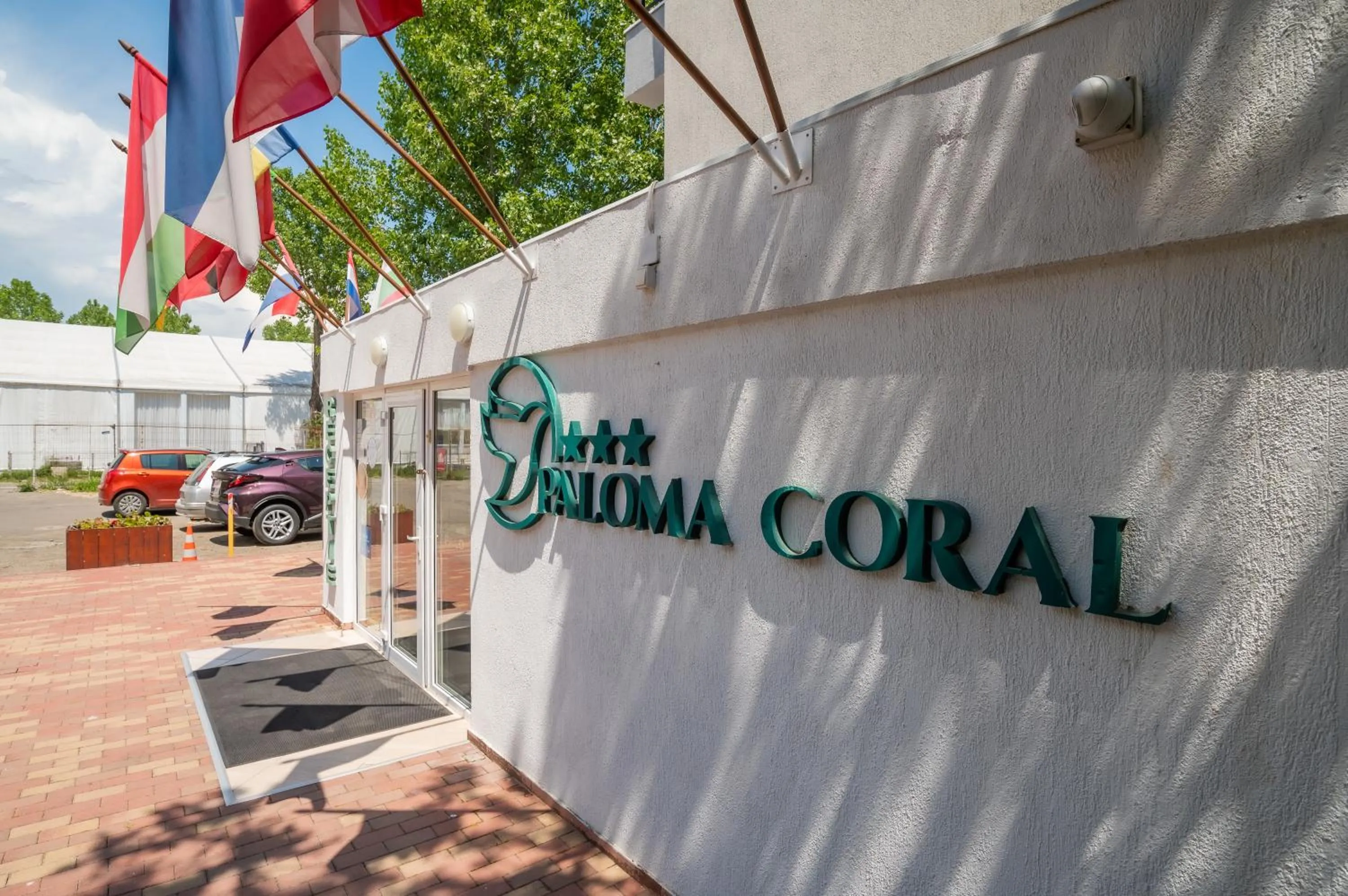 Complex Paloma Coral