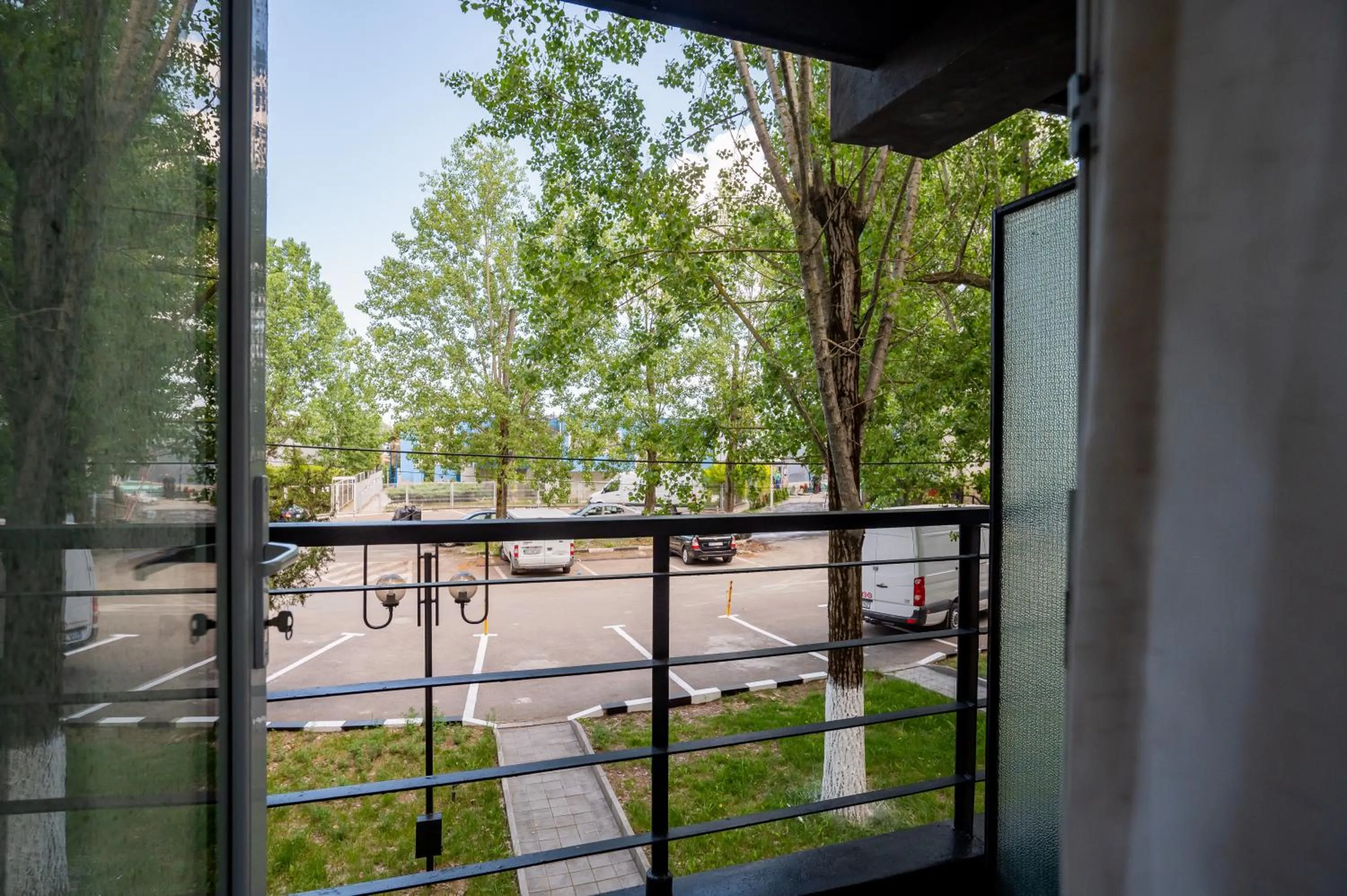 Complex Paloma Coral