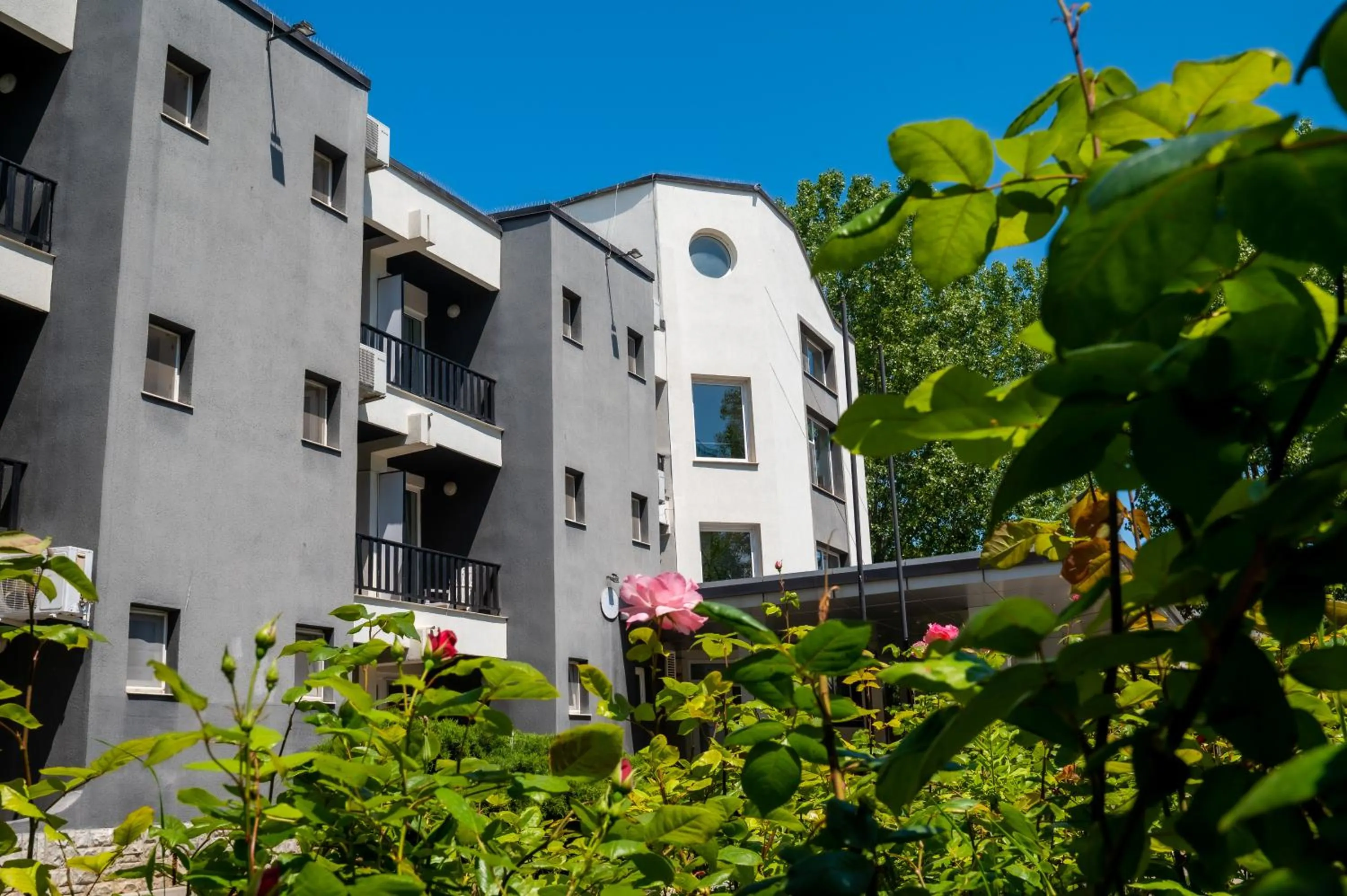 Complex Paloma Coral