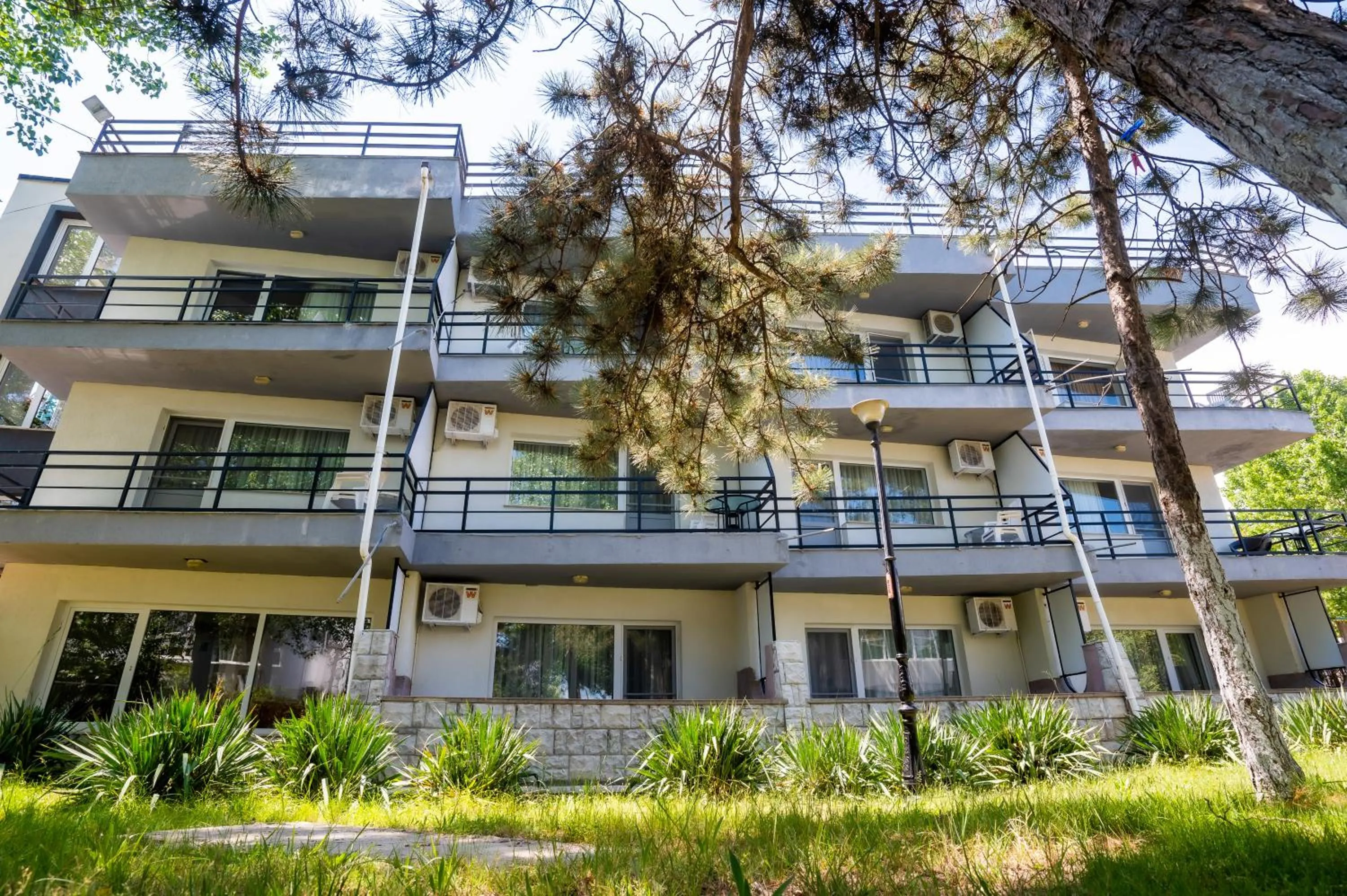 Complex Paloma Coral