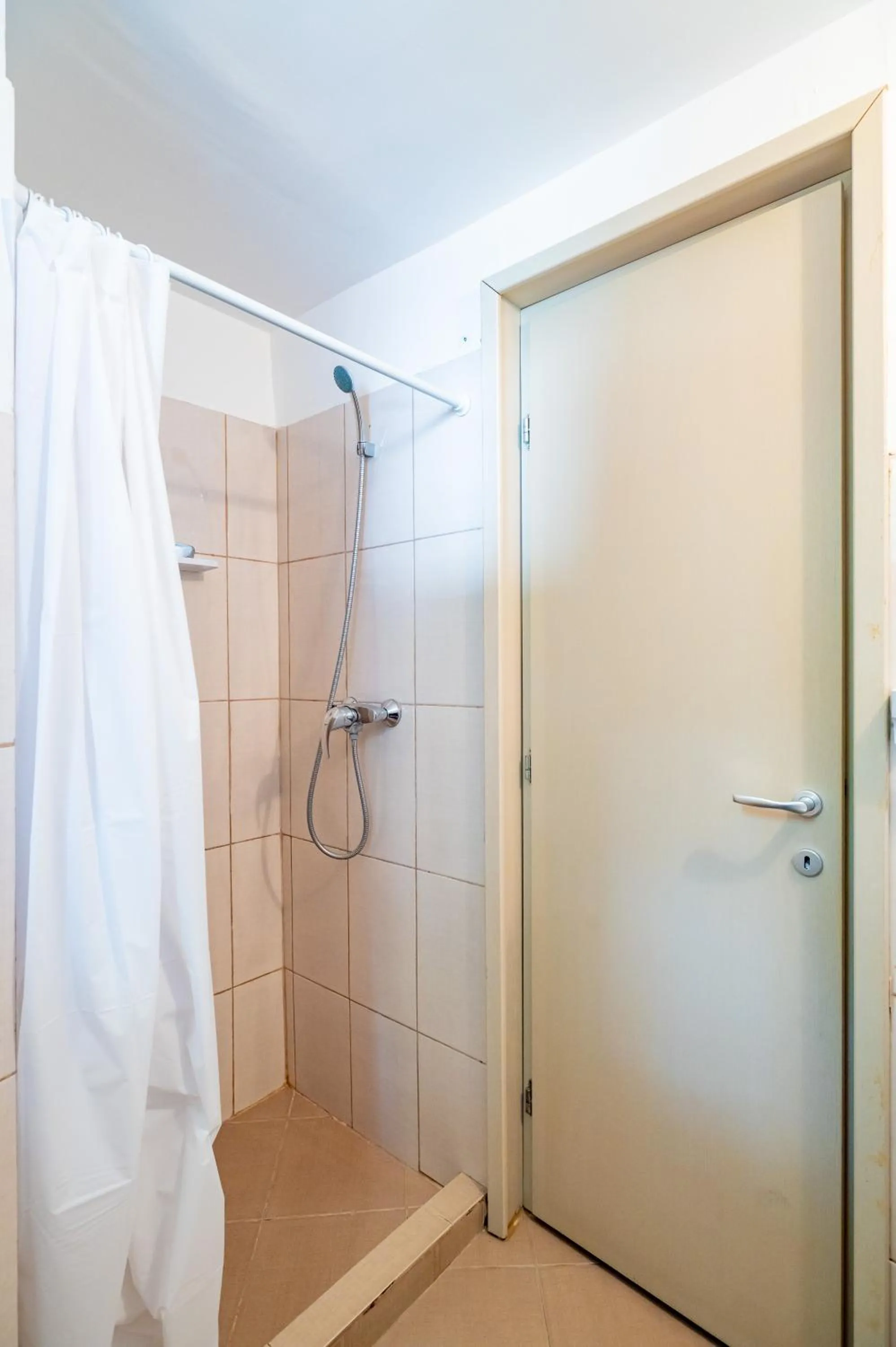 Complex Paloma Coral