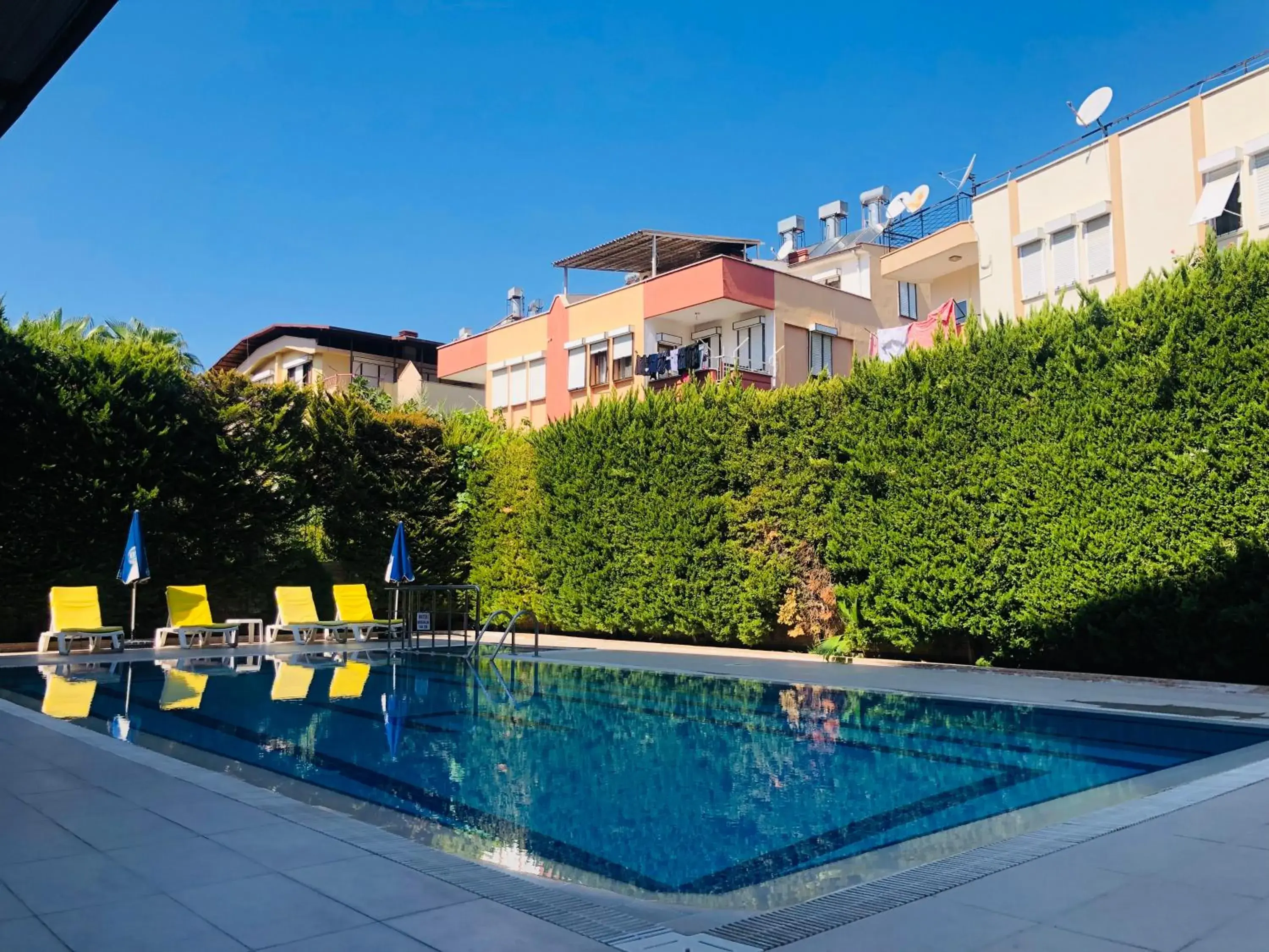 Swimming Pool in Lemon Hotel