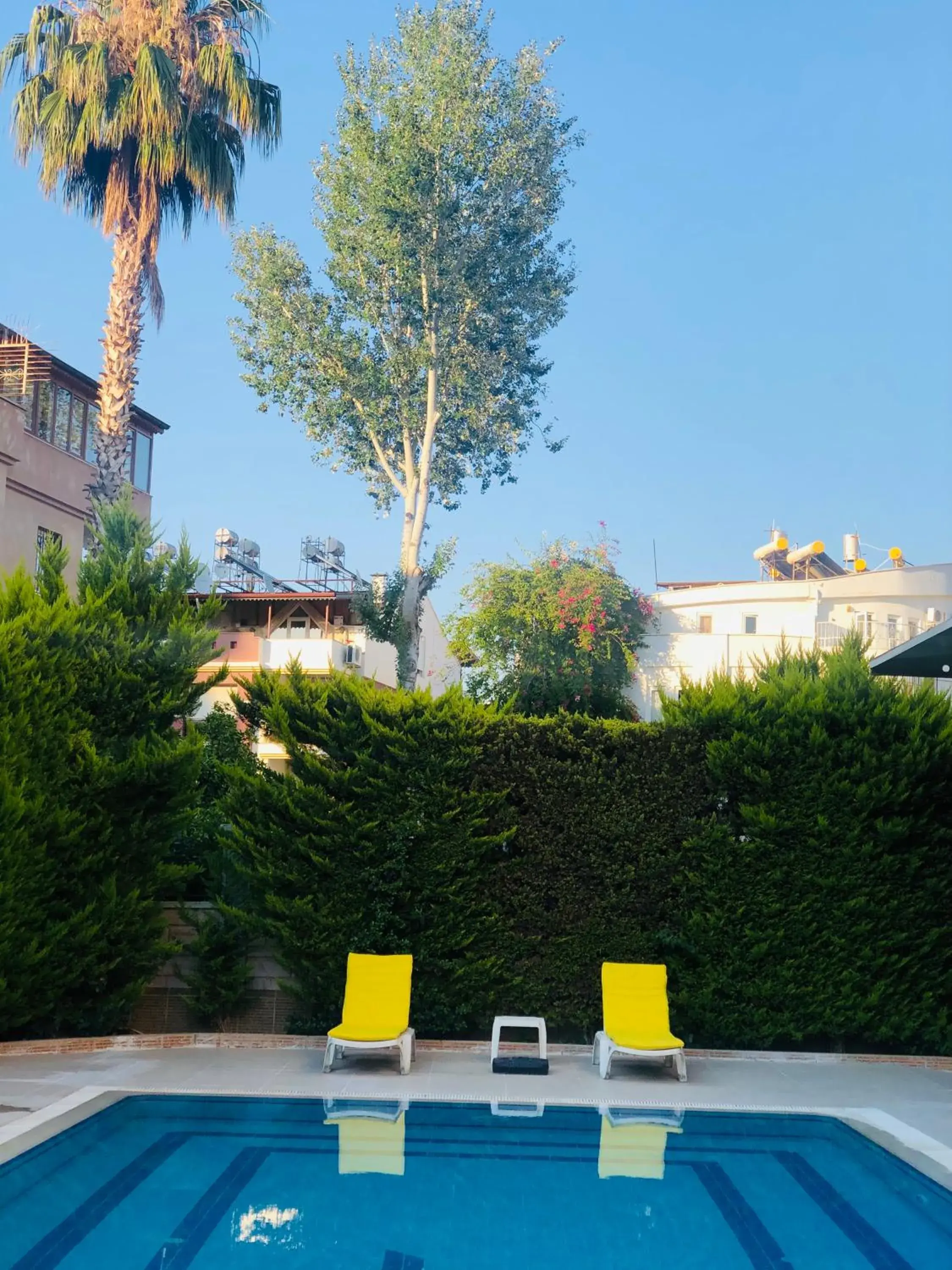 Pool view, Swimming Pool in Lemon Hotel