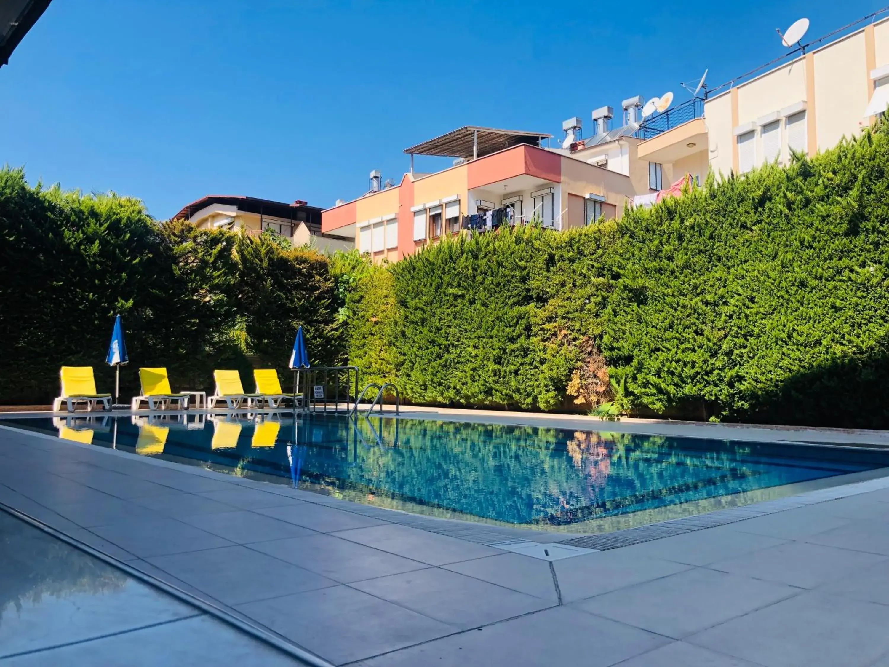 Swimming Pool in Lemon Hotel