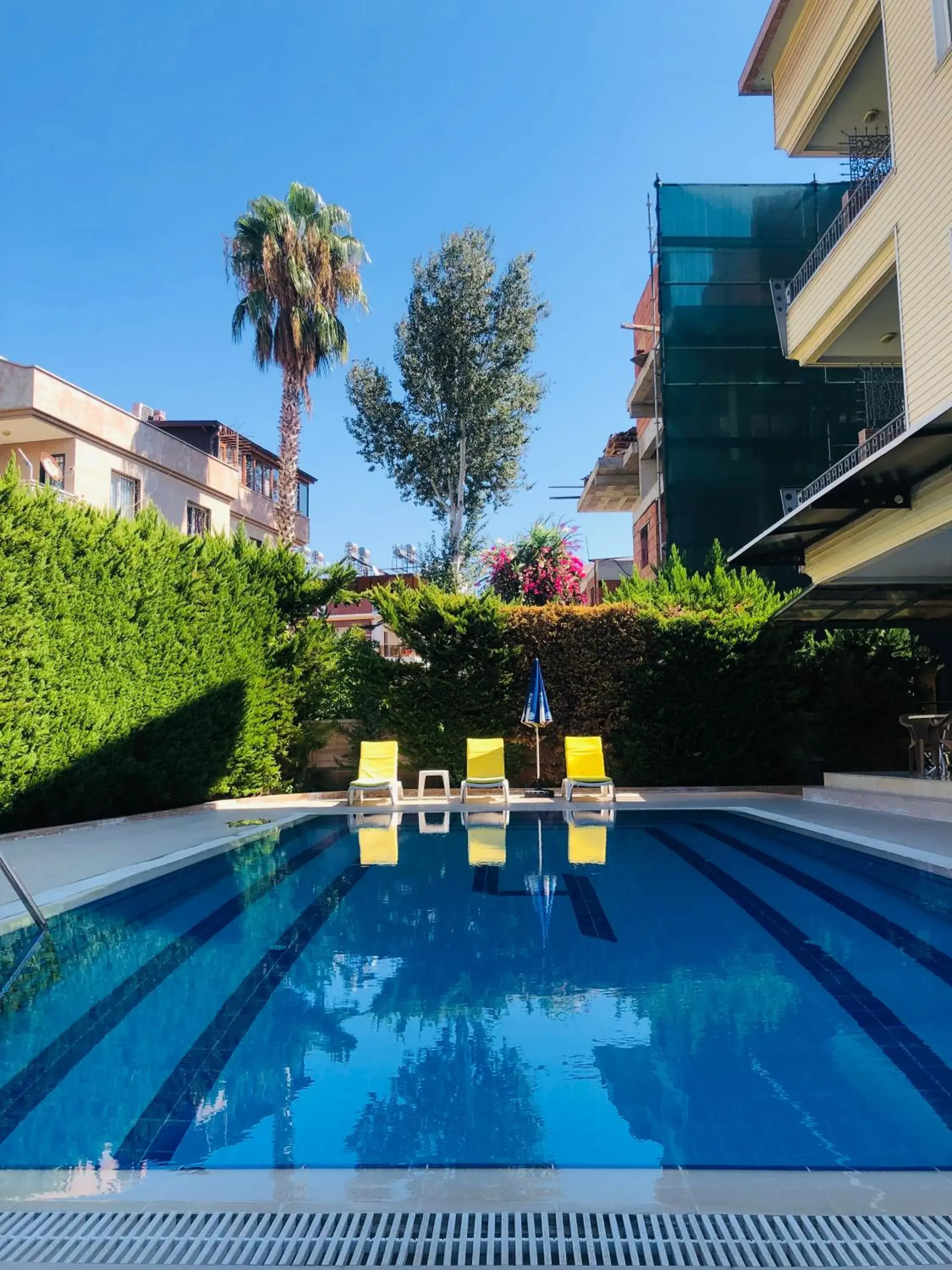 Swimming Pool in Lemon Hotel