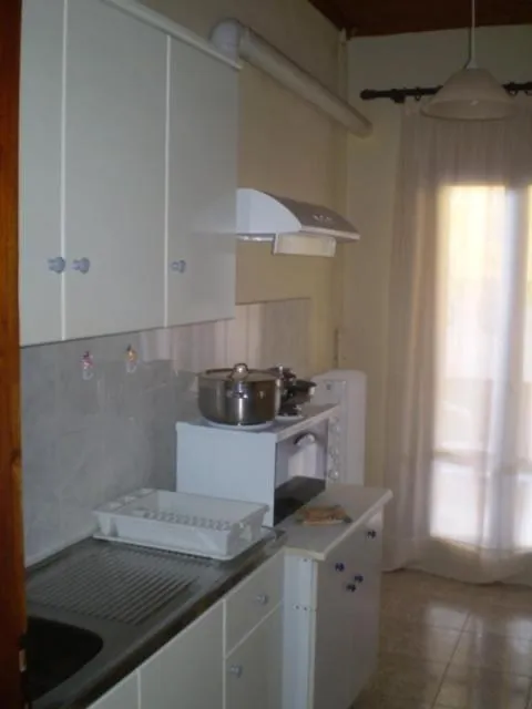 Kitchen or kitchenette in Hotel Apolafsi